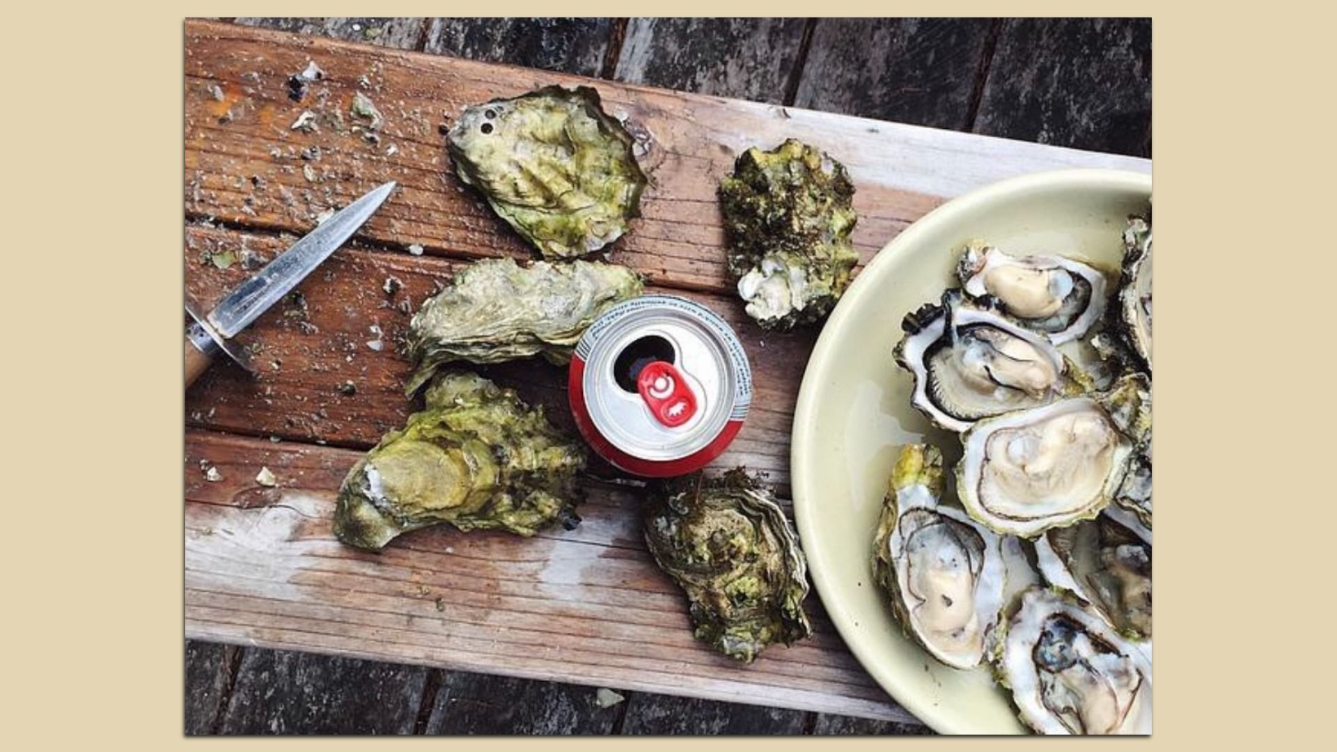A wooden table with a knife, several oyster shells, a red soda can, and a beige bowl filled with freshly shucked oysters.