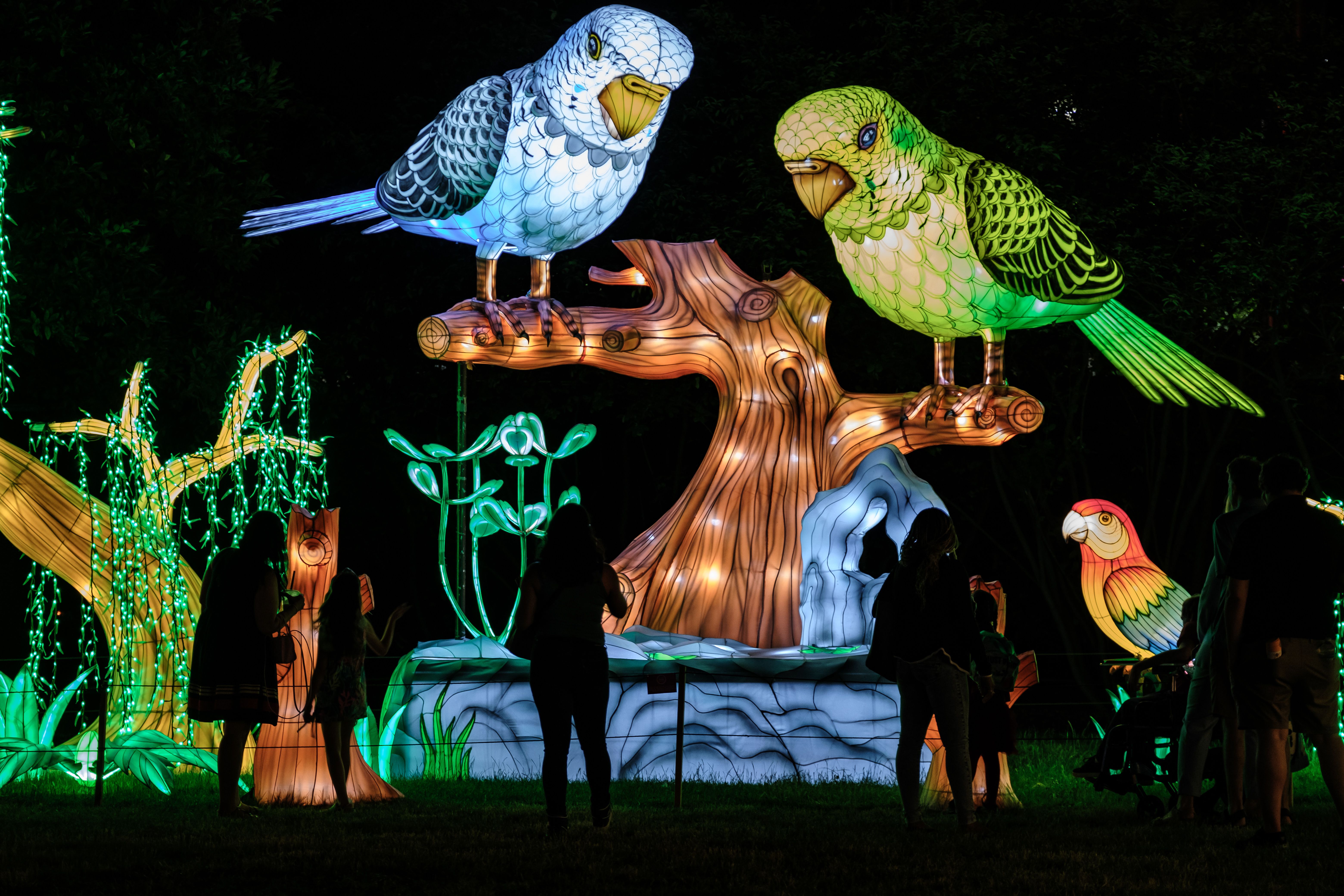 The Philadelphia Chinese Lantern Festival