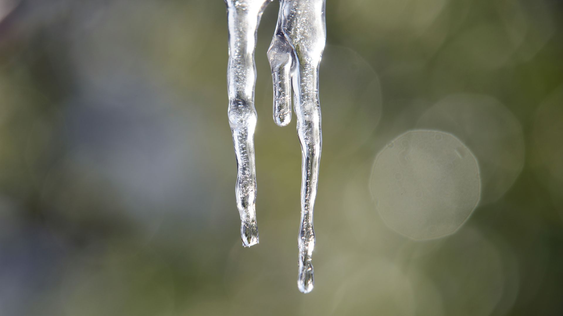 Icicle melting.