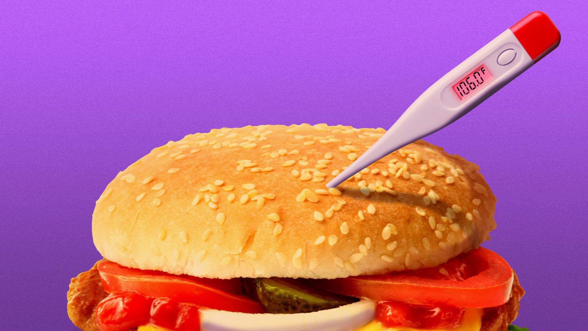 an illustration of a thermometer in a burger