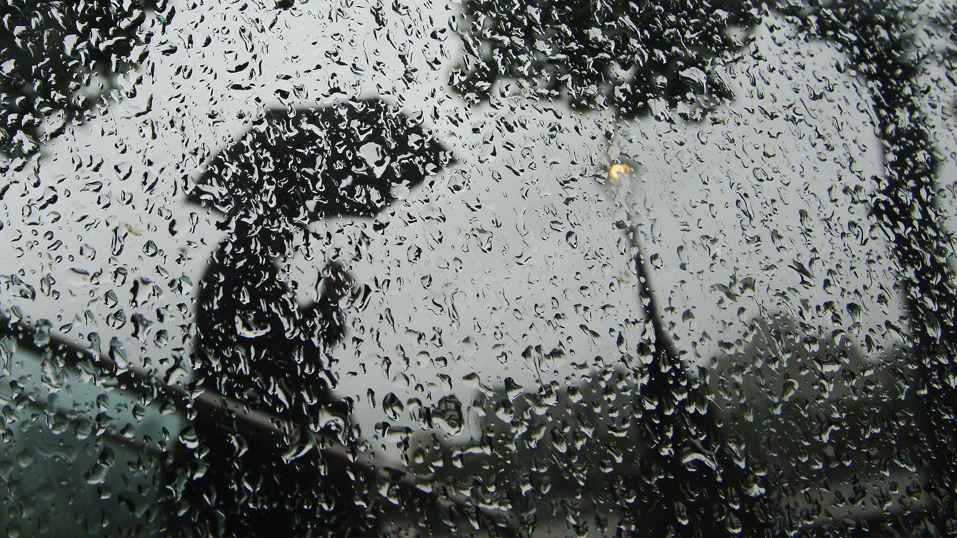 A reflection of someone walking with an umbrella is shown on a surface with drops of rain beading up.