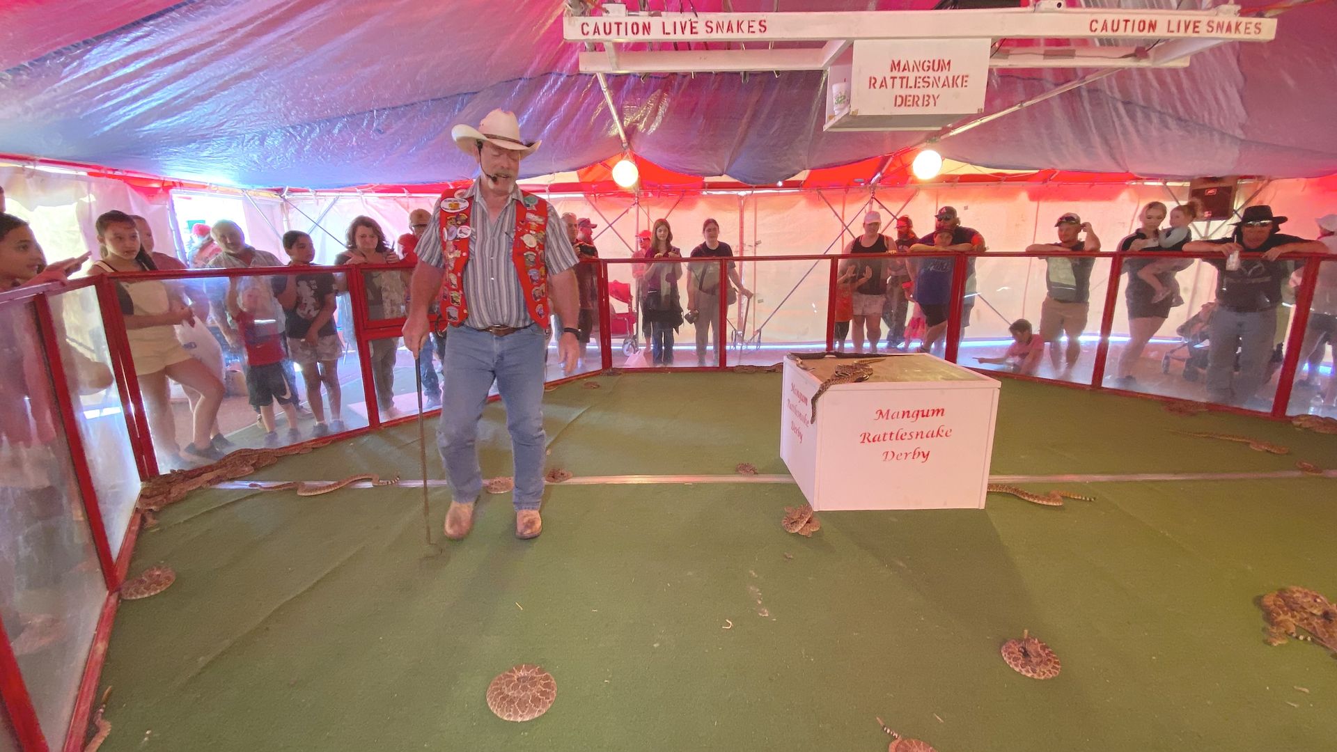 Photo of a man standing in a pit with rattlesnakes.