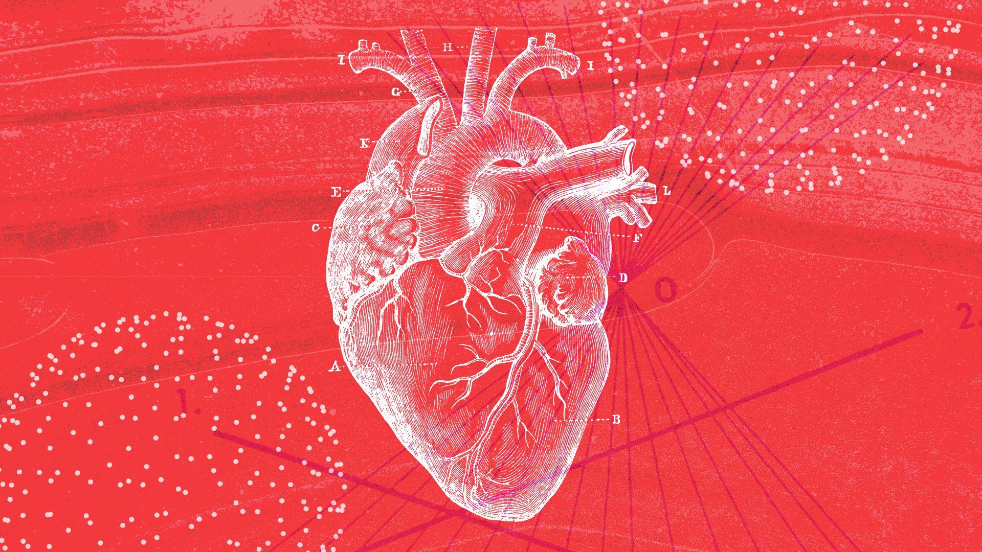 Illustration of a human heart medical diagram surrounded by various abstract shapes