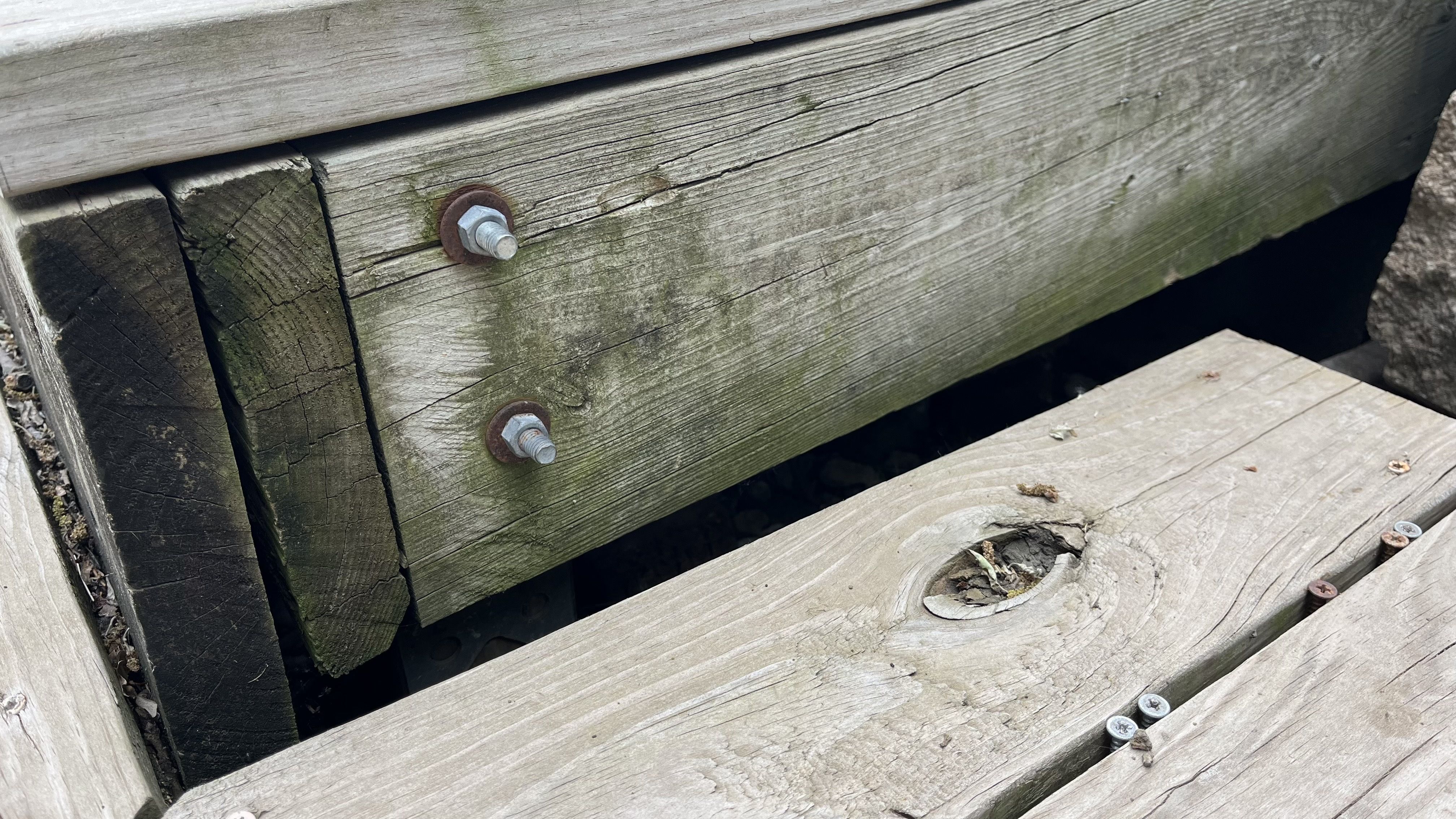 Close-up of weathered wooden deck planks with two protruding bolts and rusted washers, mossy grime along the grain, a gap between boards, and other worn boards with screws.