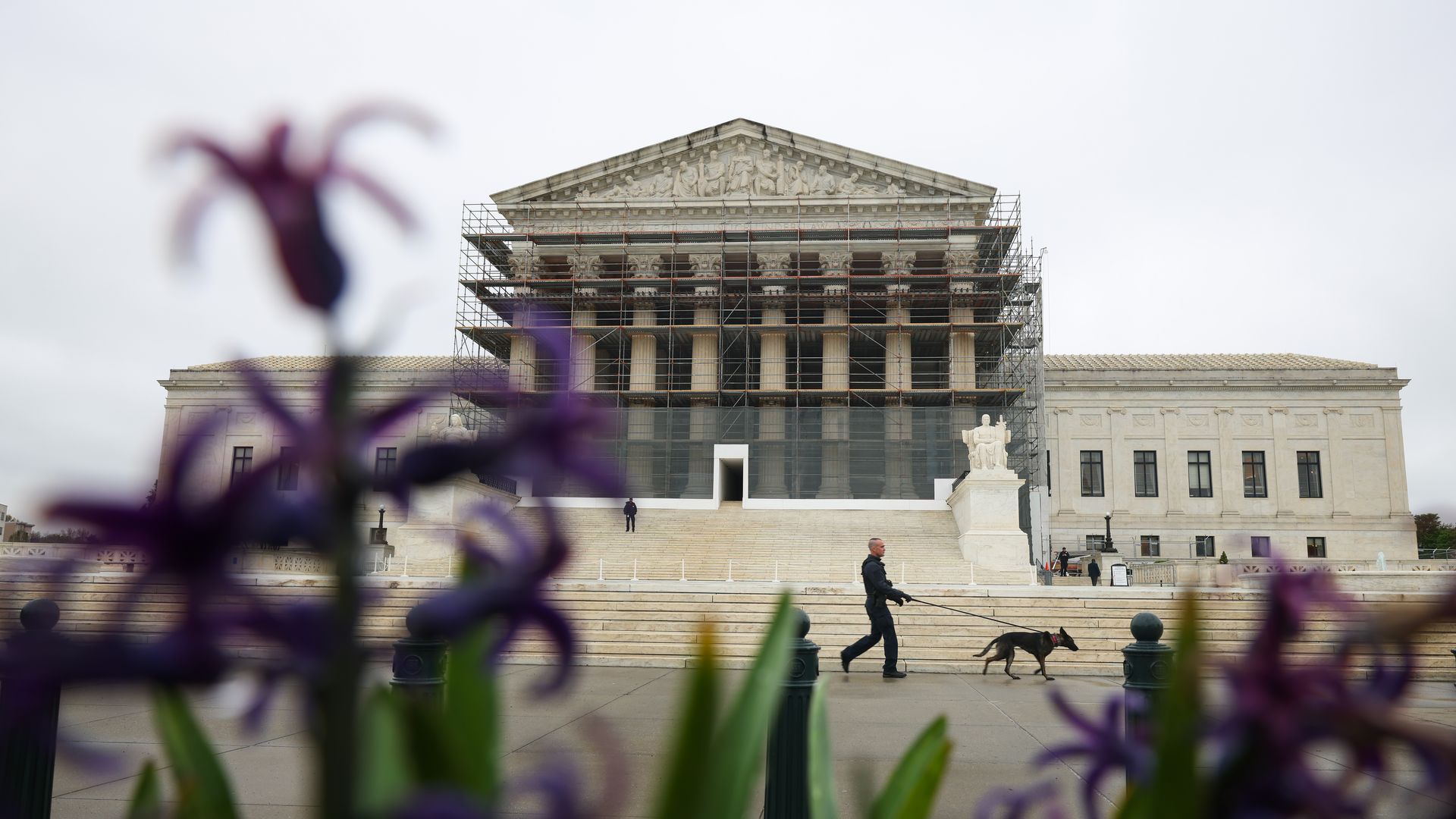 Flowers in front of the Supreme Court