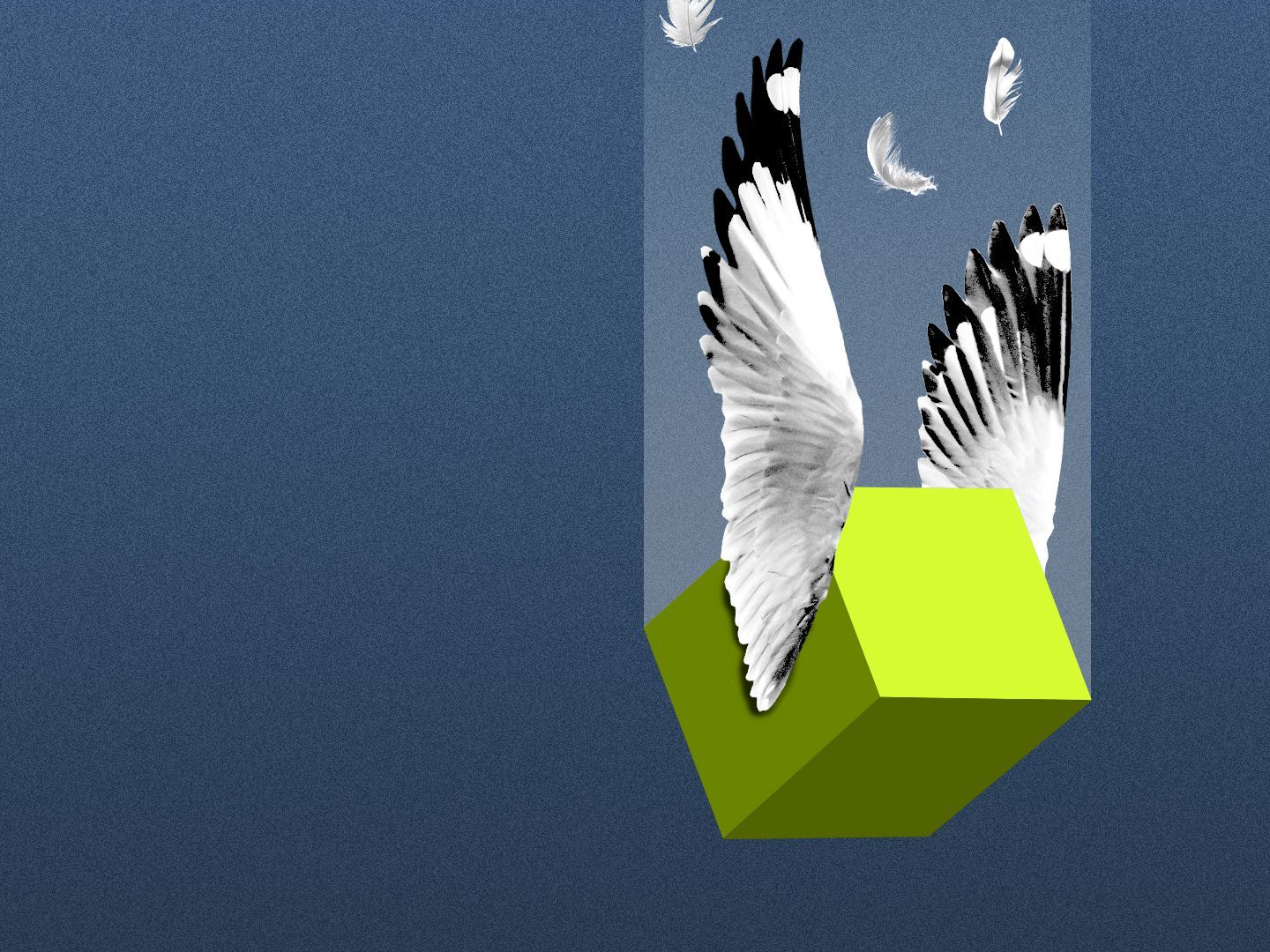 Three Arrows Capital, a cyberpunk Icarus story