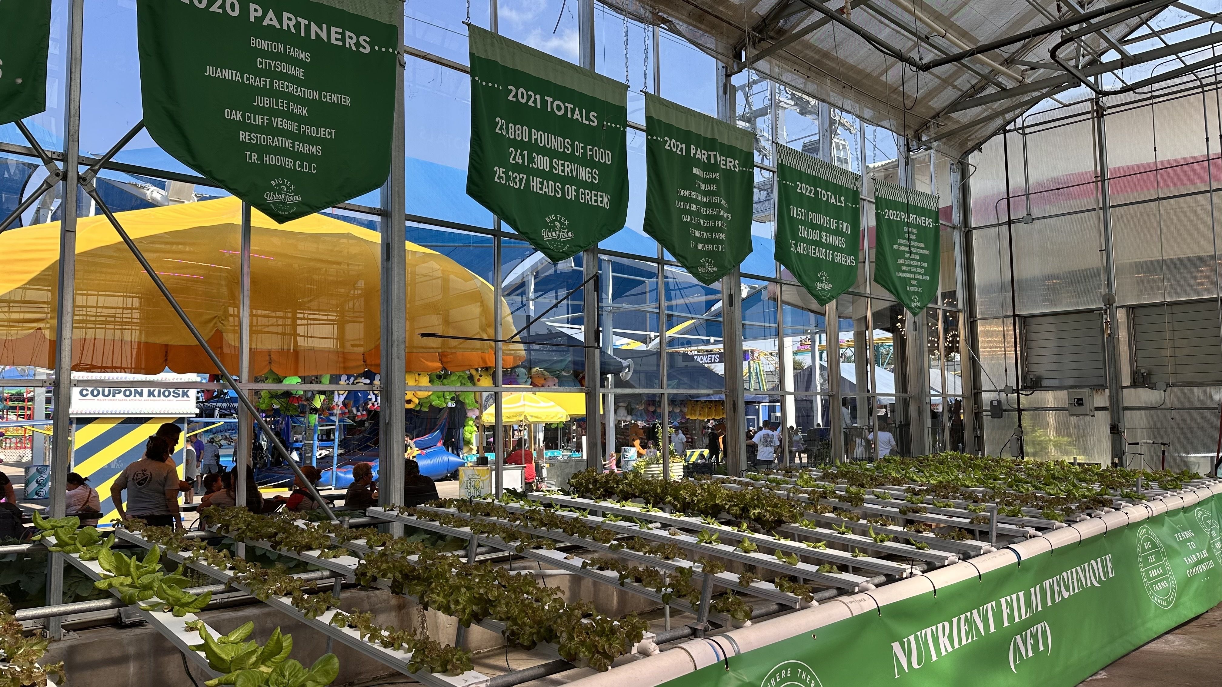 A greenhouse with plans inside