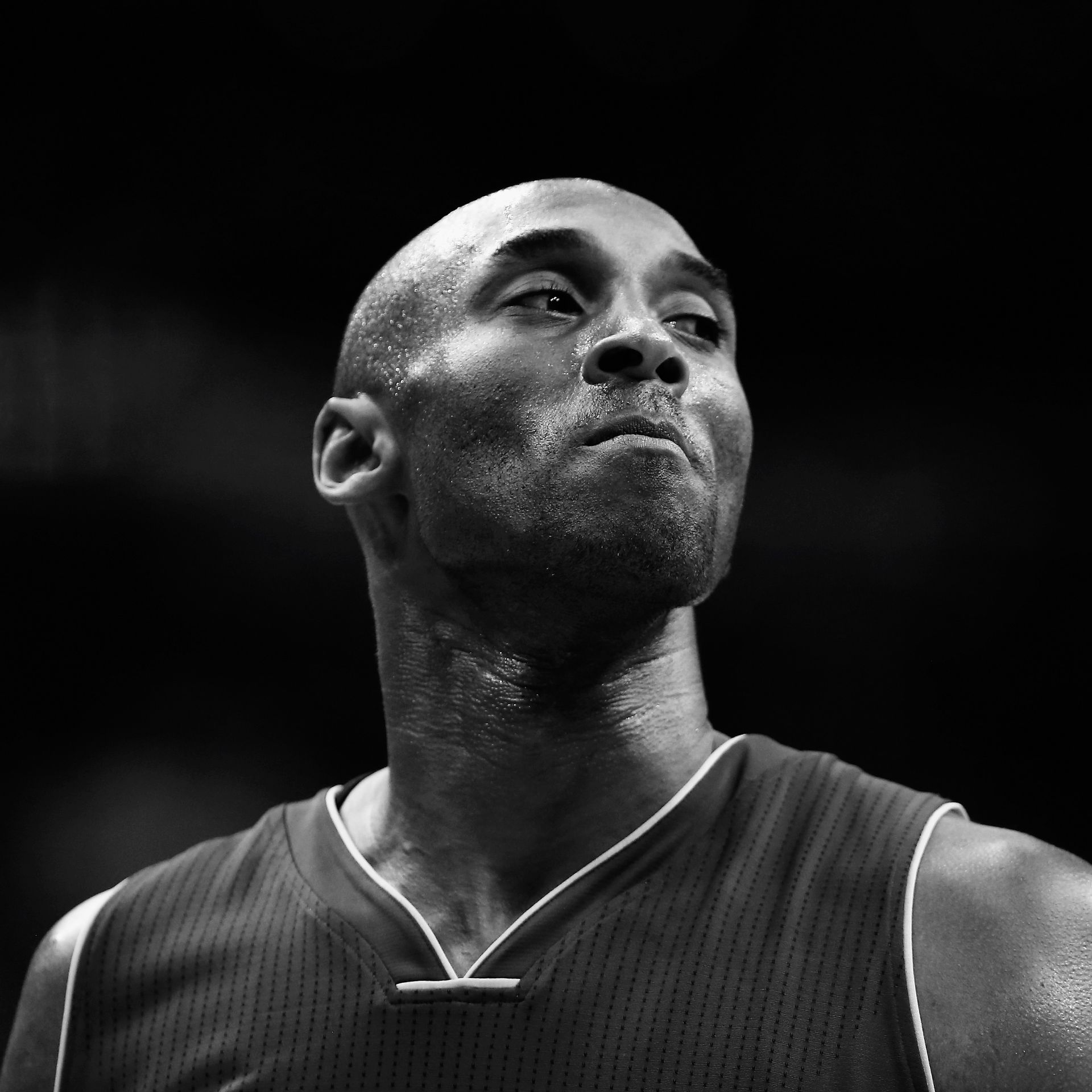 The LA Clippers honor Kobe Bryant wearing or on the their warm up News  Photo - Getty Images