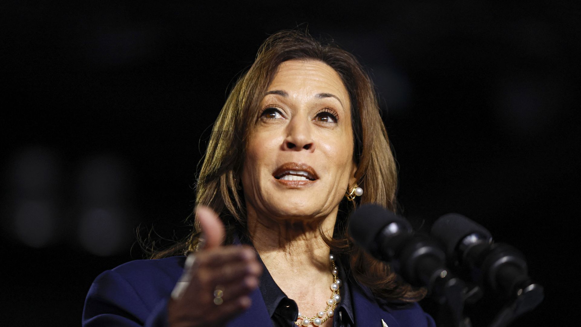 US Vice President and Democratic presidential candidate Kamala Harris speaks during a campaign event at the Resch Expo Center in Green Bay, Wisconsin,