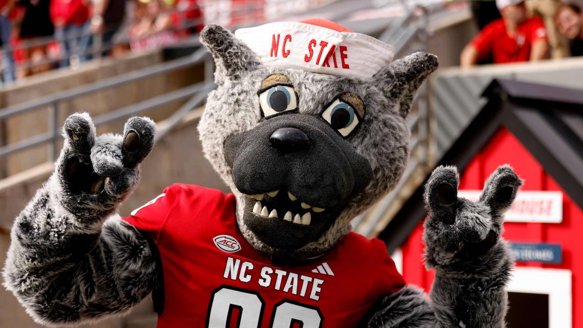  Mr. Wuf, mascot of the NC State Wolfpack, poses for a photo during the game against the Stanford Cardinal at Carter-Finley Stadium on November 2, 2024 in Raleigh, North Carolina. (Photo by Lance King/Getty Images)