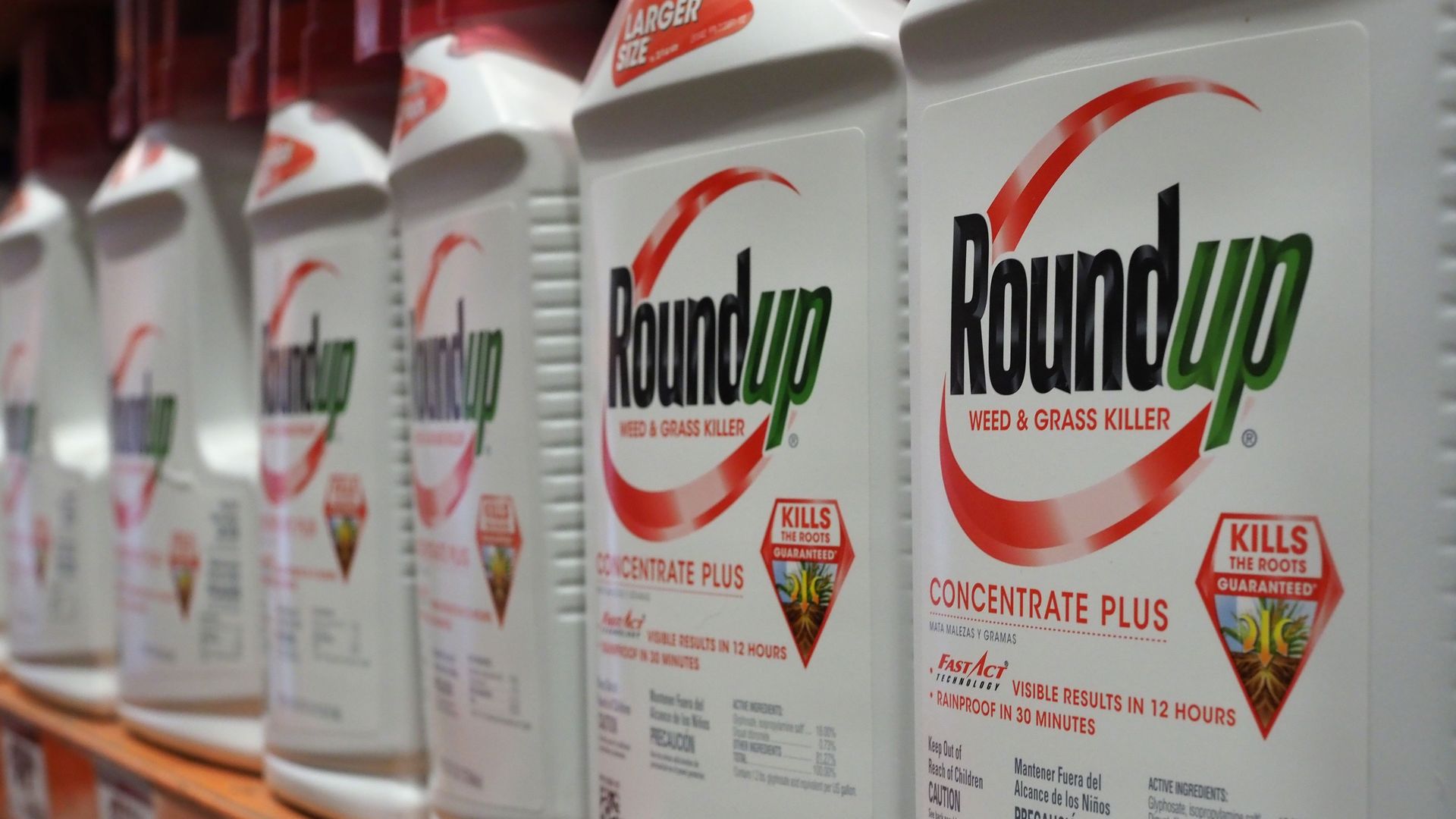 Roundup weed killer on a store shelf
