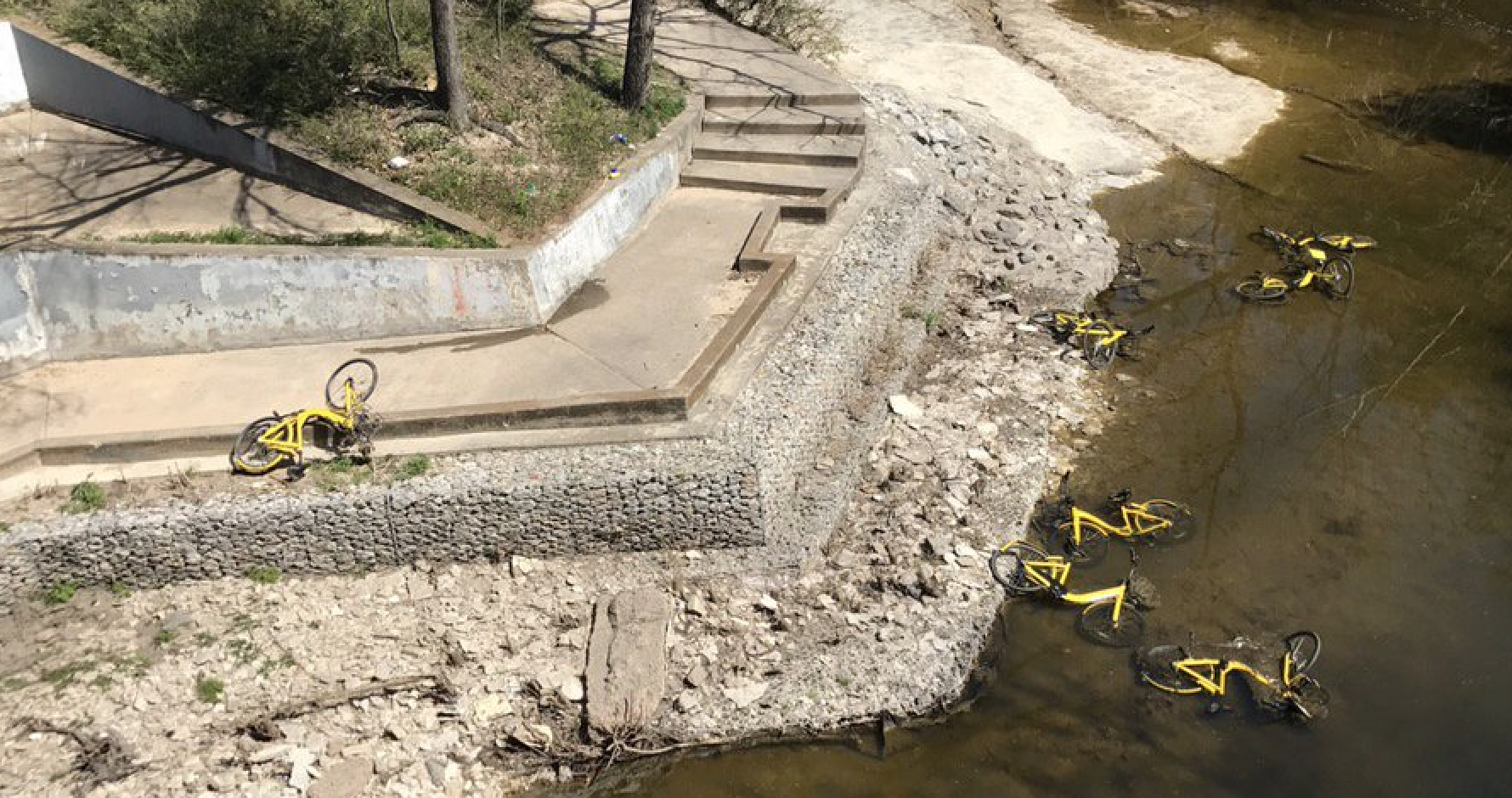 Five yellow e-bikes thrown into a murky creek.