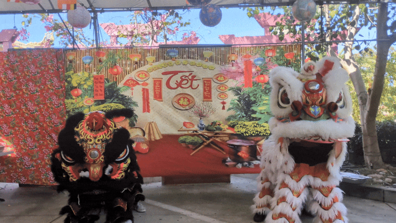 Two lion dancers perform one of their moves.