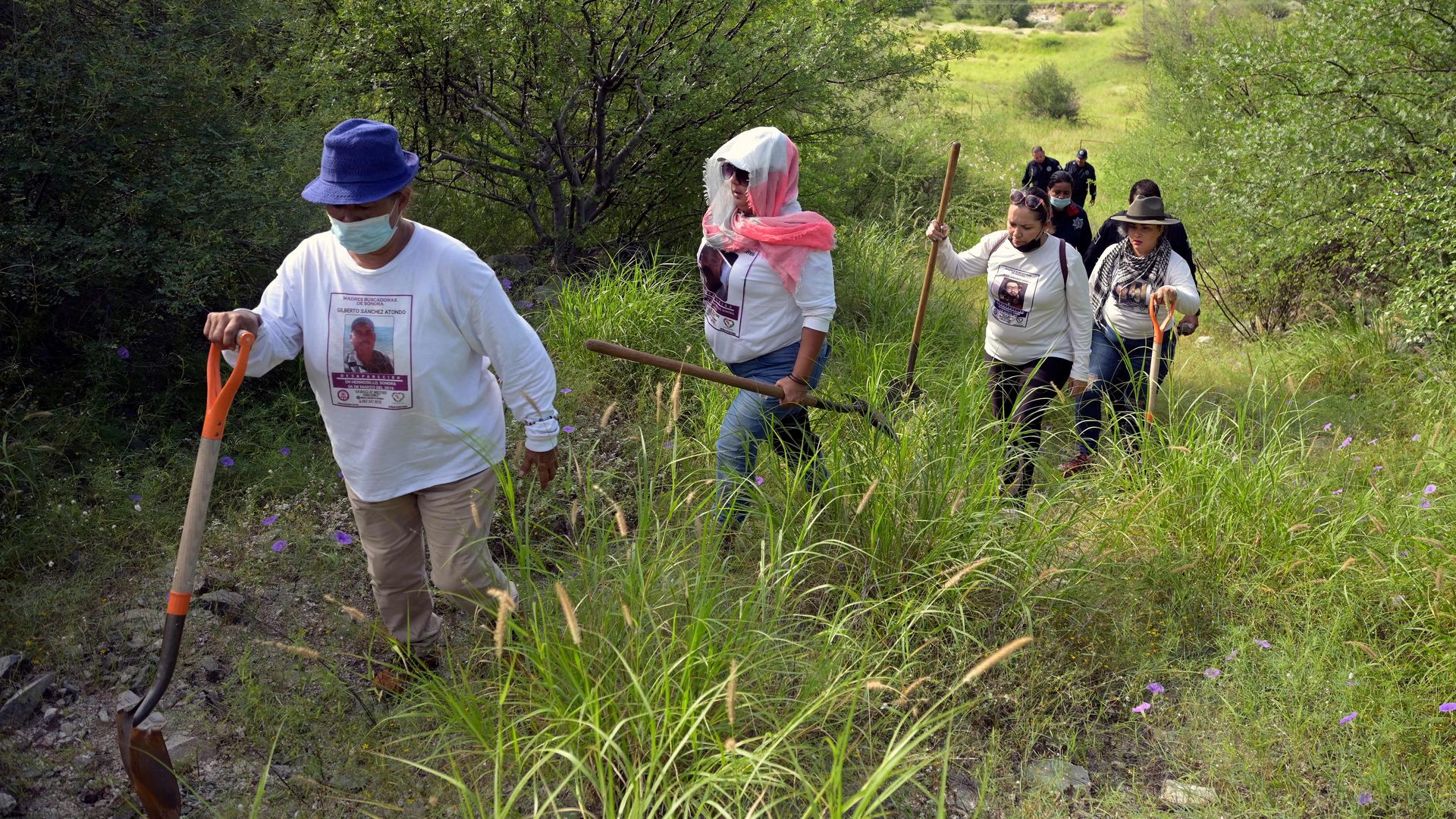 Mexican women who search for their missing loved ones are pictured hiking through a grassy area while carrying shovels
