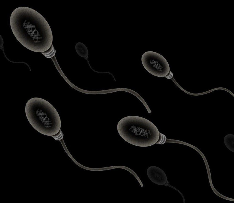 male birth control vibrations 8 Best Male Masturbators in 2025, Tested & Reviewed by Experts main image 0