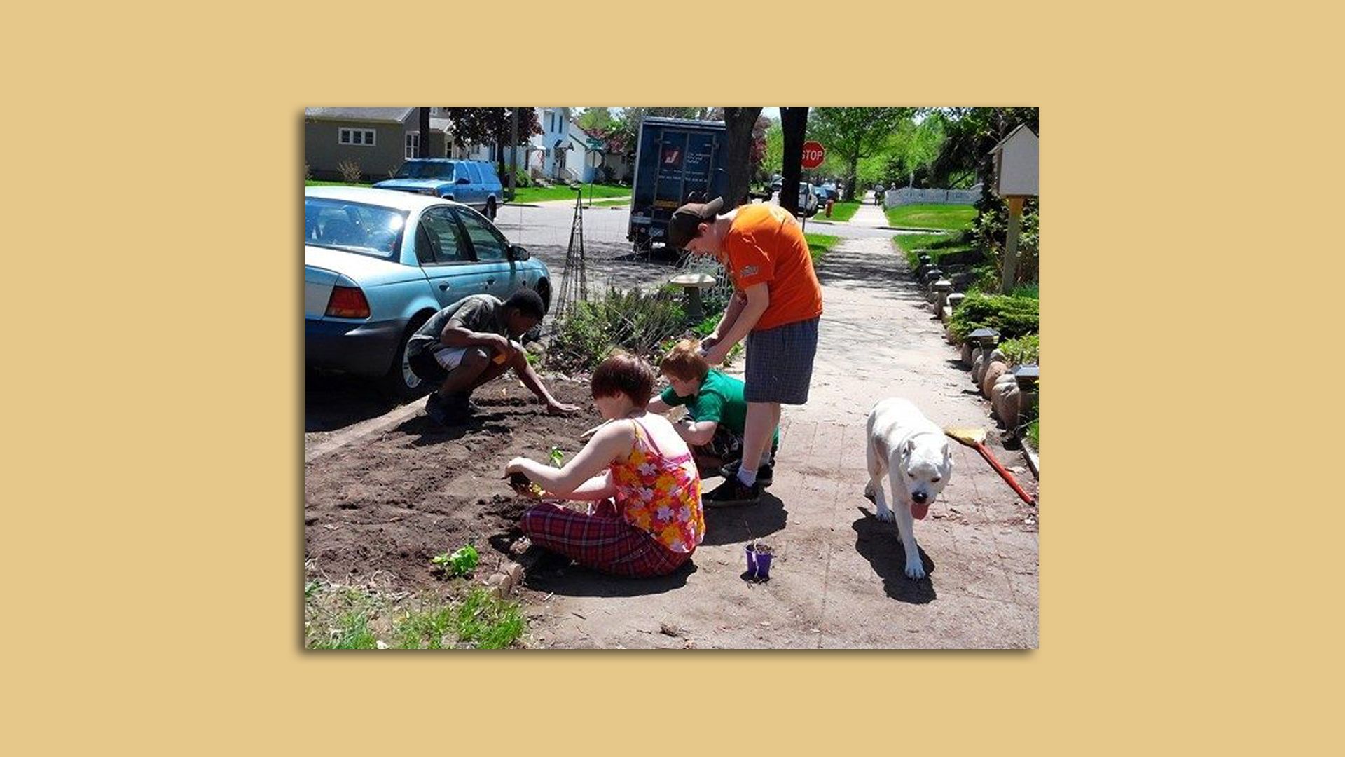 A photo of people gardening.
