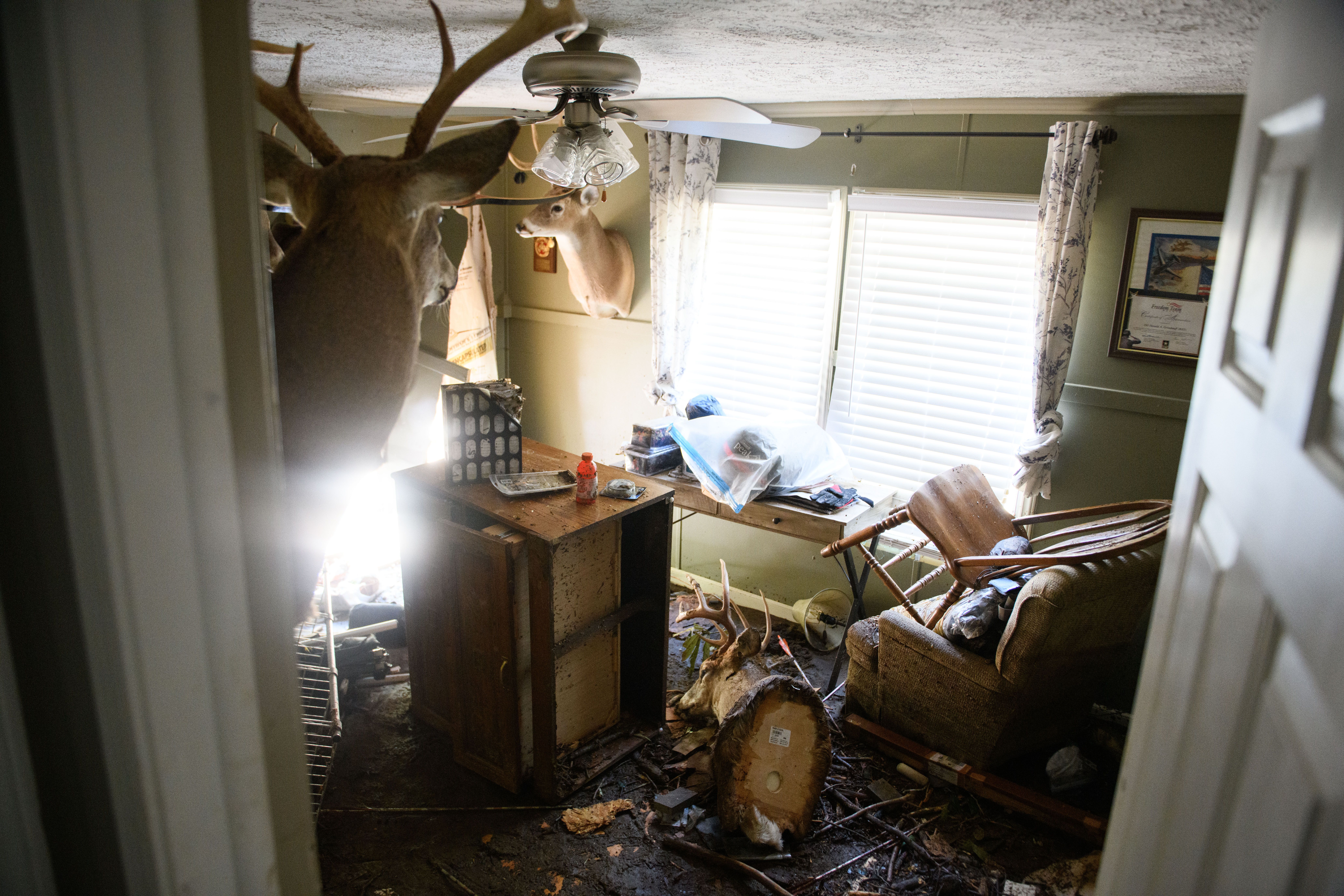 Taxidermy deer heads were among the things that fell to the ground inside a home in Old Fort after Tropical Storm Helene