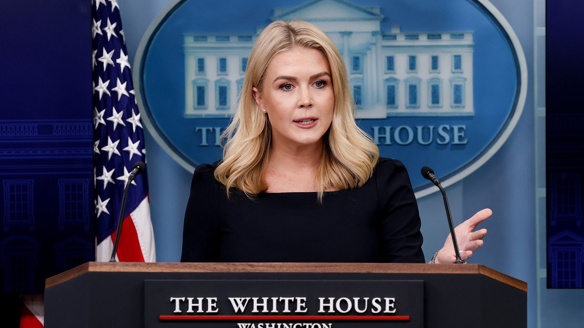 White House press secretary Karoline Leavitt speaks during a daily press briefing in the Brady Press Briefing Room at the White House on April 15, 2025 in Washington, DC. Leavitt took questions on the Trump administration's plan to block federal grants and contracts from Harvard University, deportat
