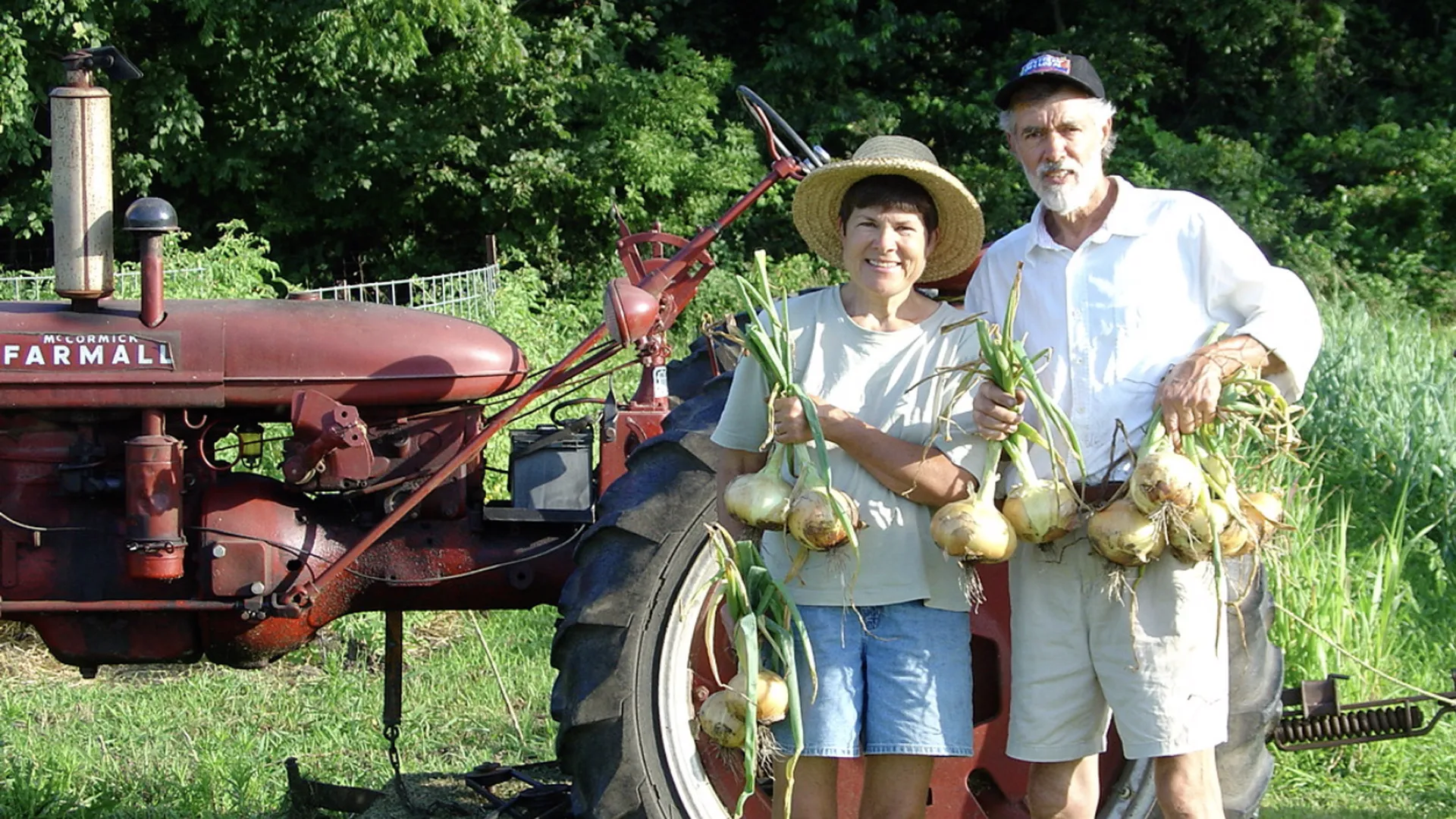 A photo of an onion farm