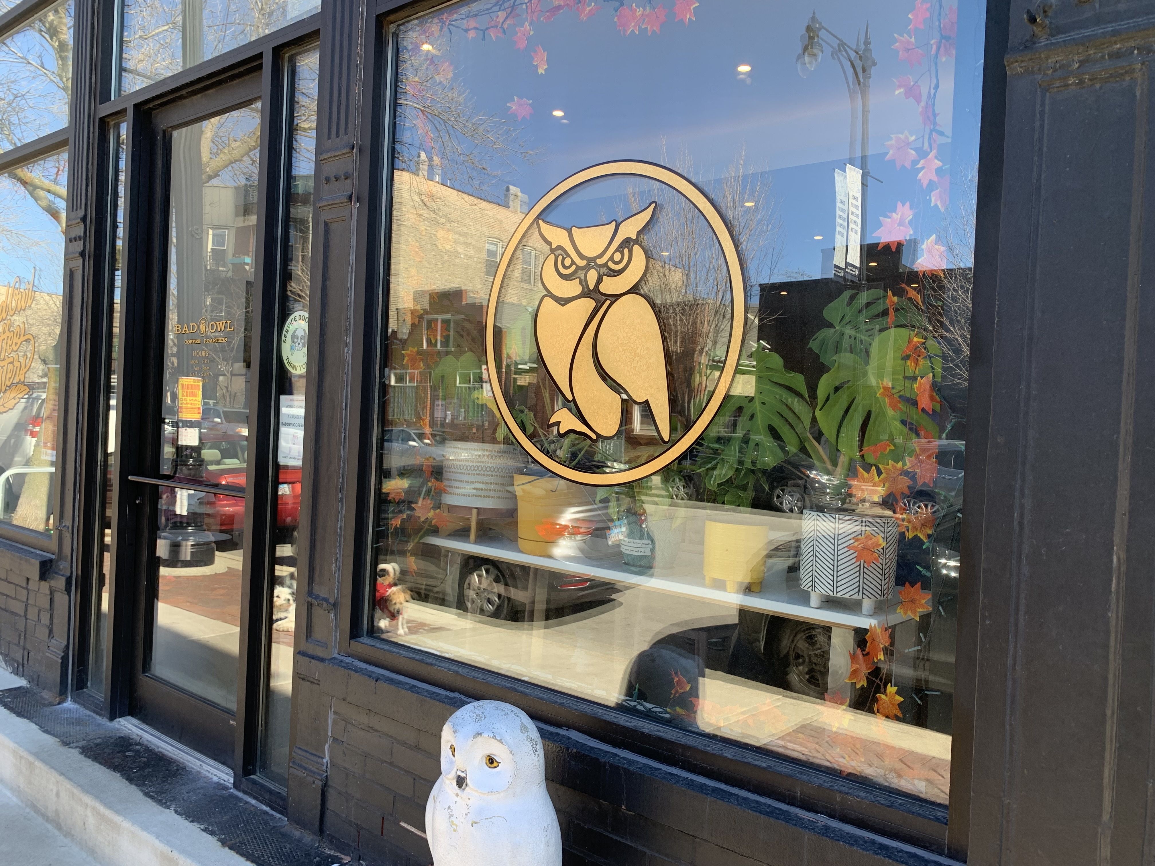 Storefront with large glass window and door showing a gold owl logo. Autumn leaf decorations on the window. White owl statue on sidewalk outside. Potted plants visible inside.