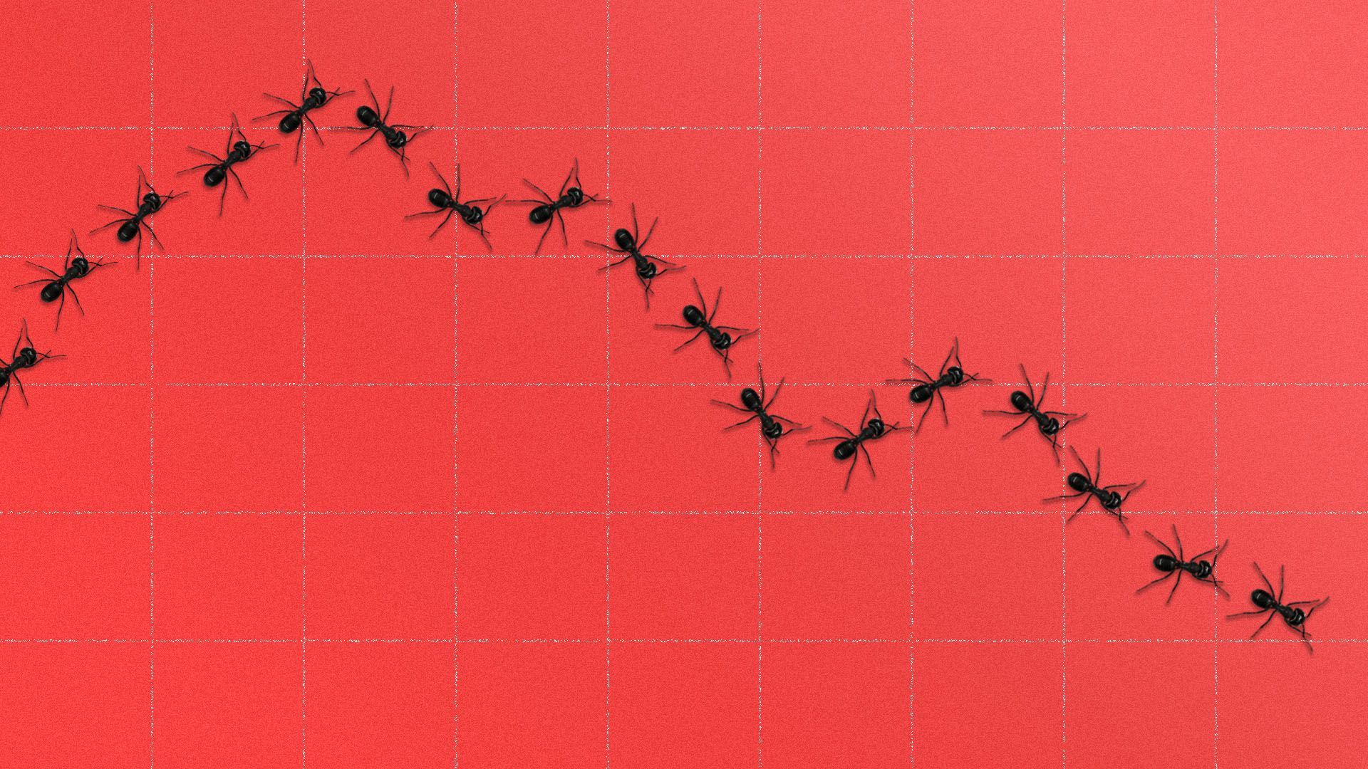 Illustrations of ants marching in a downward trend line across a grid