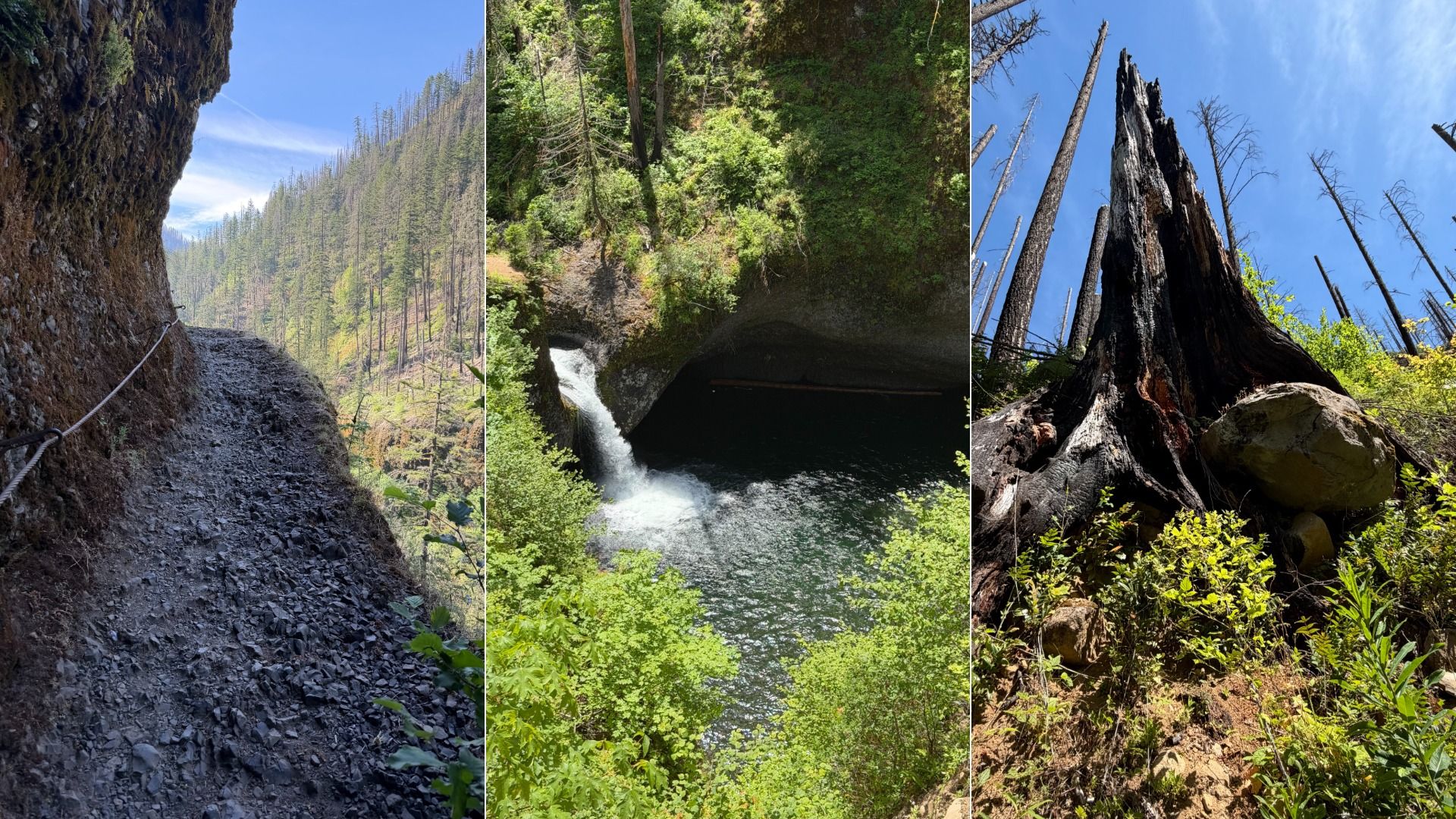 Triptych of a forest hike: left shows a rocky cliffside trail with a rope and tall trees; center features a waterfall into a pool beneath a rock arch; right reveals burnt tree stumps against a sky.