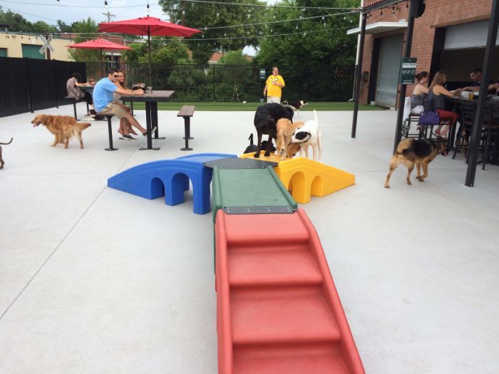 lucky dog bark and brew