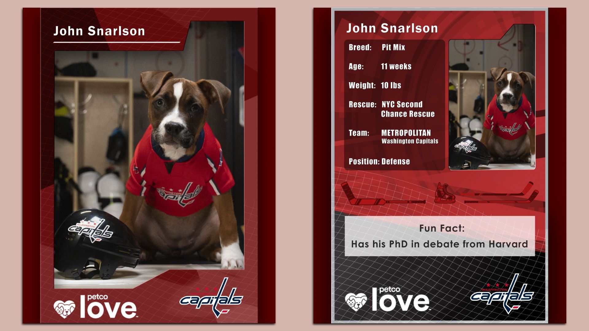An image showing two side-by-side "player cards" of a dog dressed up like a hockey player for the Washington Capitals.