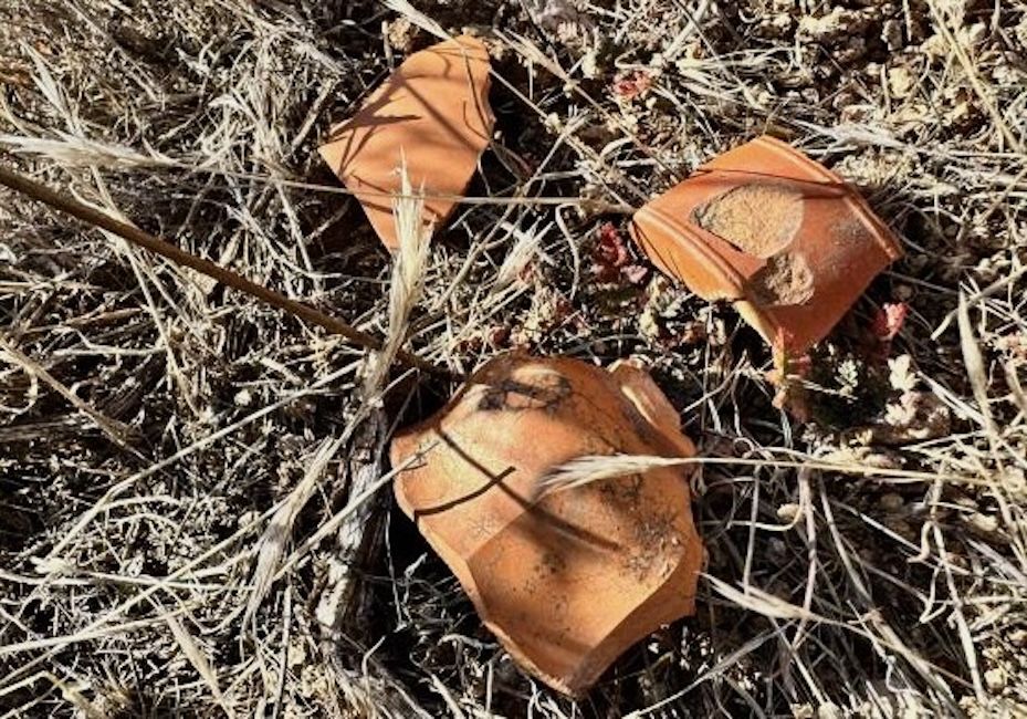 Shards of ornate, orange Chinese pottery in dry grass