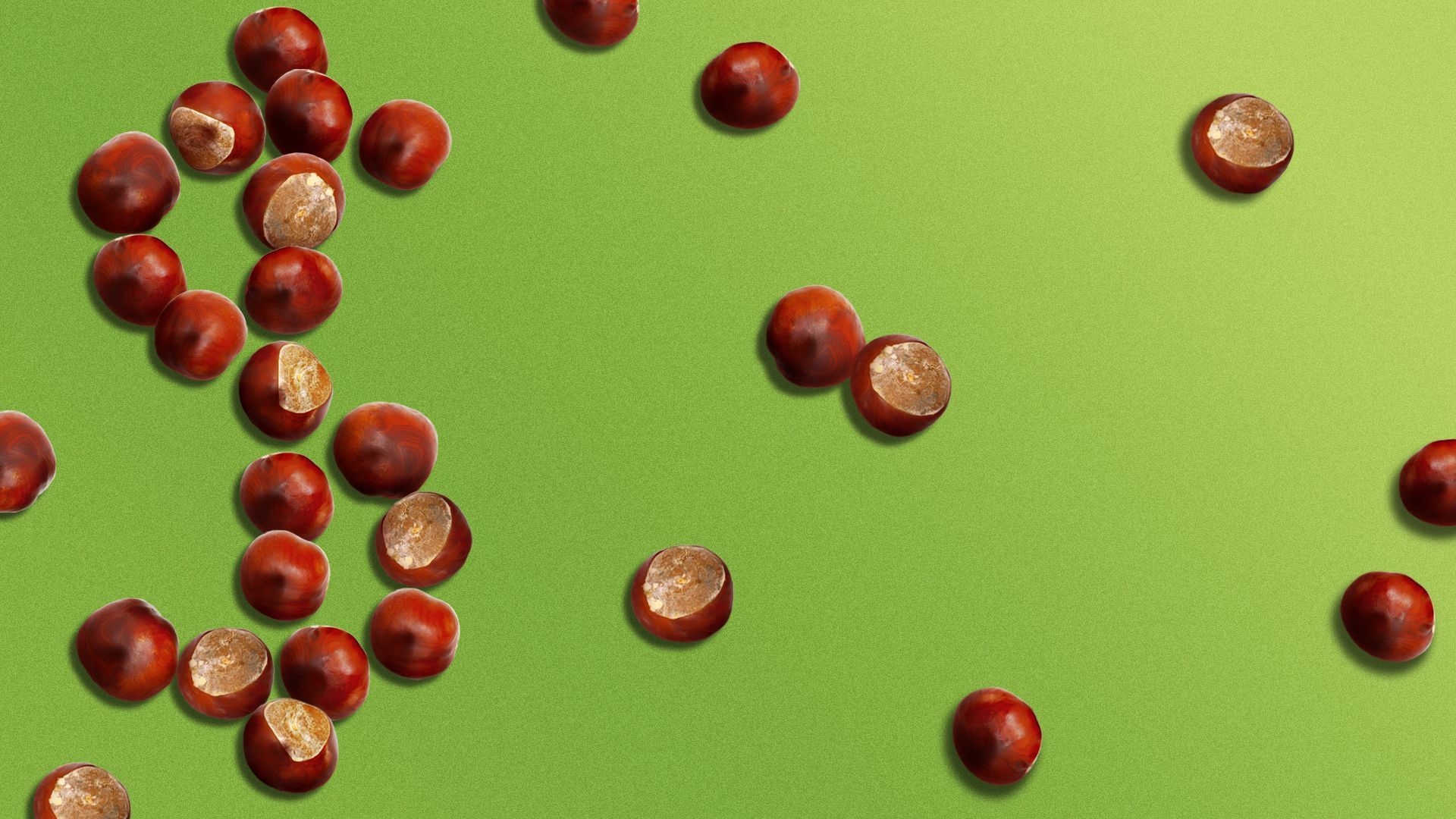 Illustration of a collection of chestnuts in the shape of a dollar sign