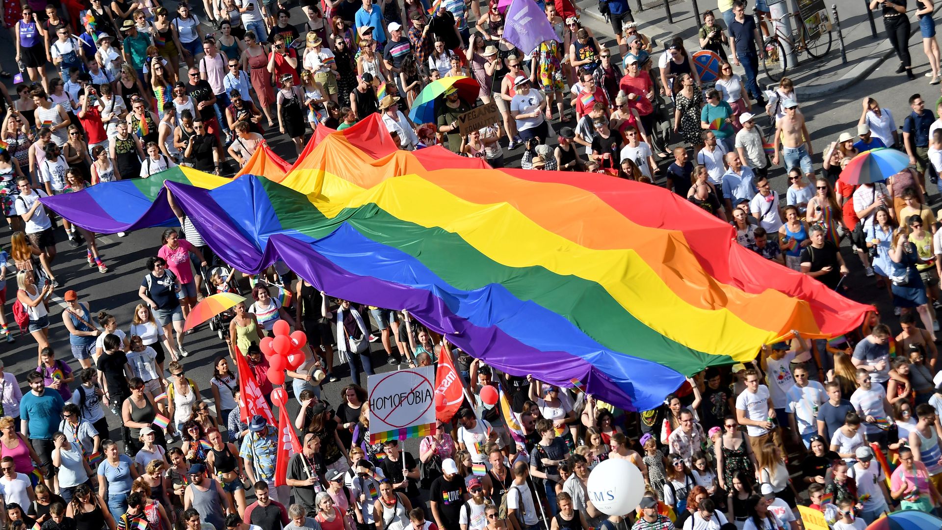 Picture of a pride parade with several people holding up the rainbow flag