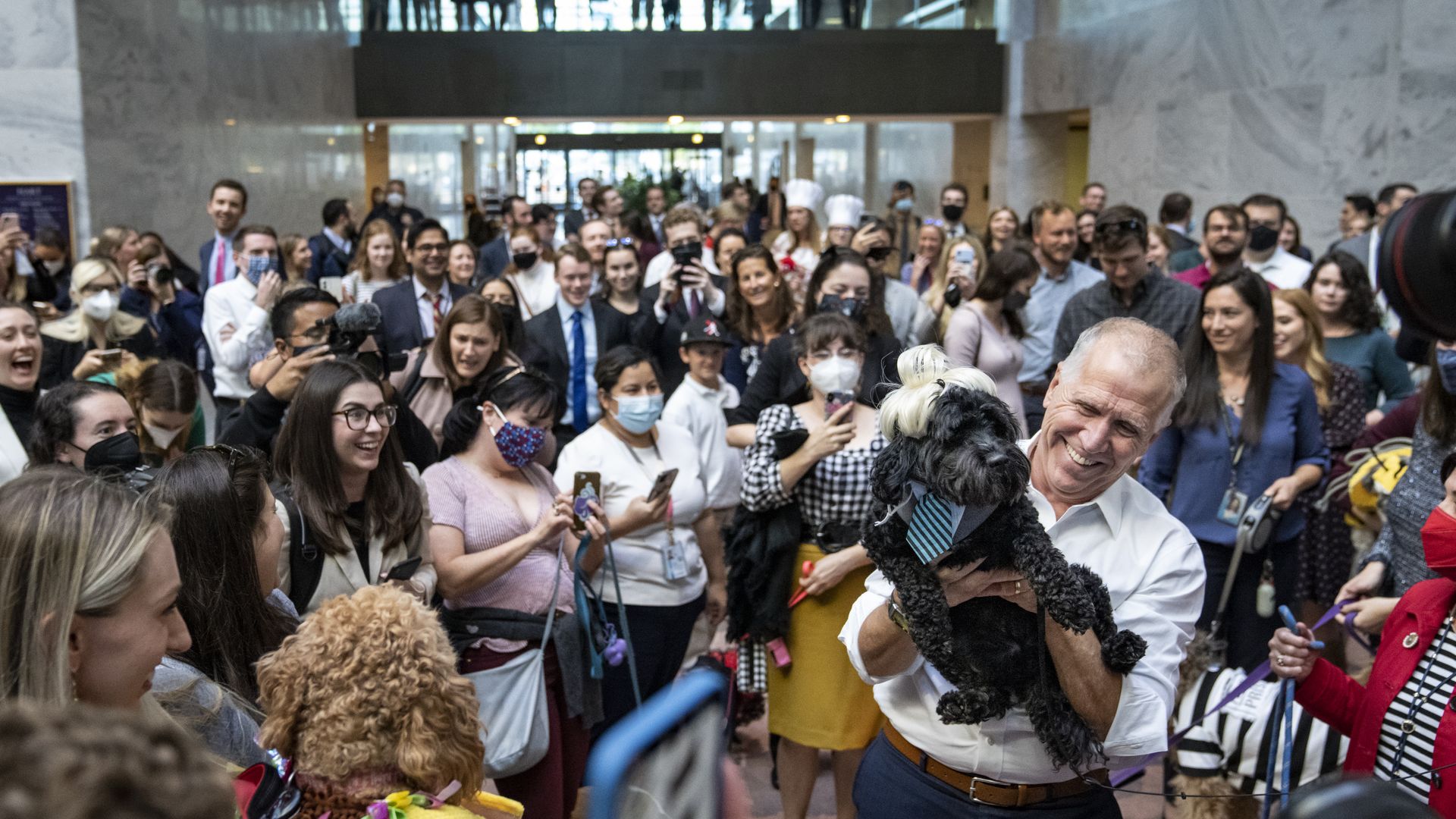 Sen. Thom Tillis is seen holding a dog during a pet Halloween parade in the Hart Senate Office Building.