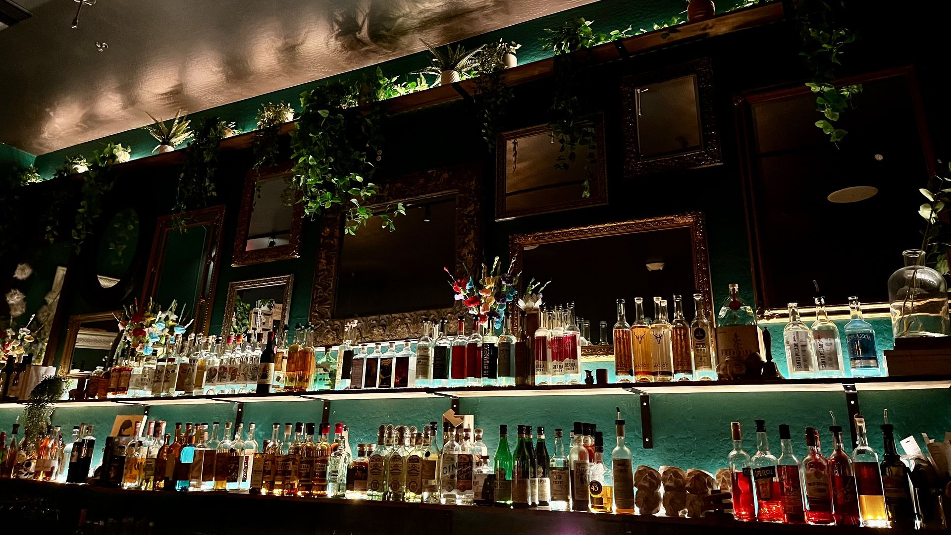 Dim bar scene with glass bottles lined along a teal wall, ornate mirrors, and lush hanging plants; warm lights cast shadows of palm trees on the ceiling above.