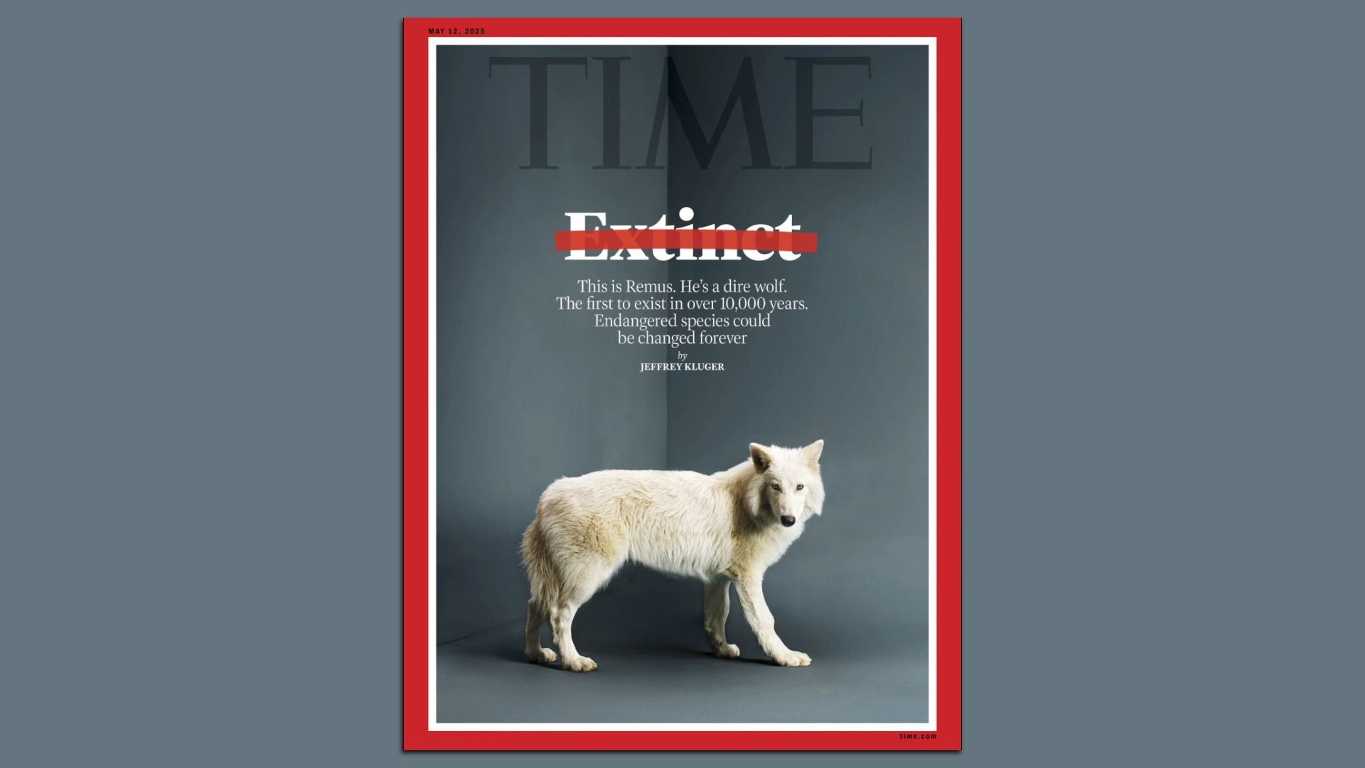 screenshot of TIME cover featuring Dire Wolves