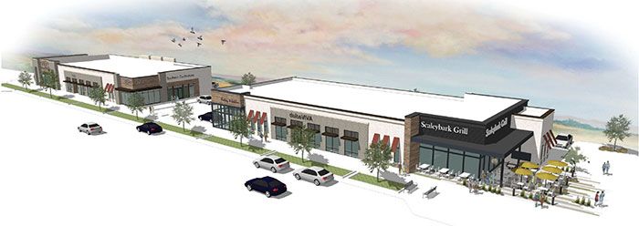 Scaleybark Project-overview