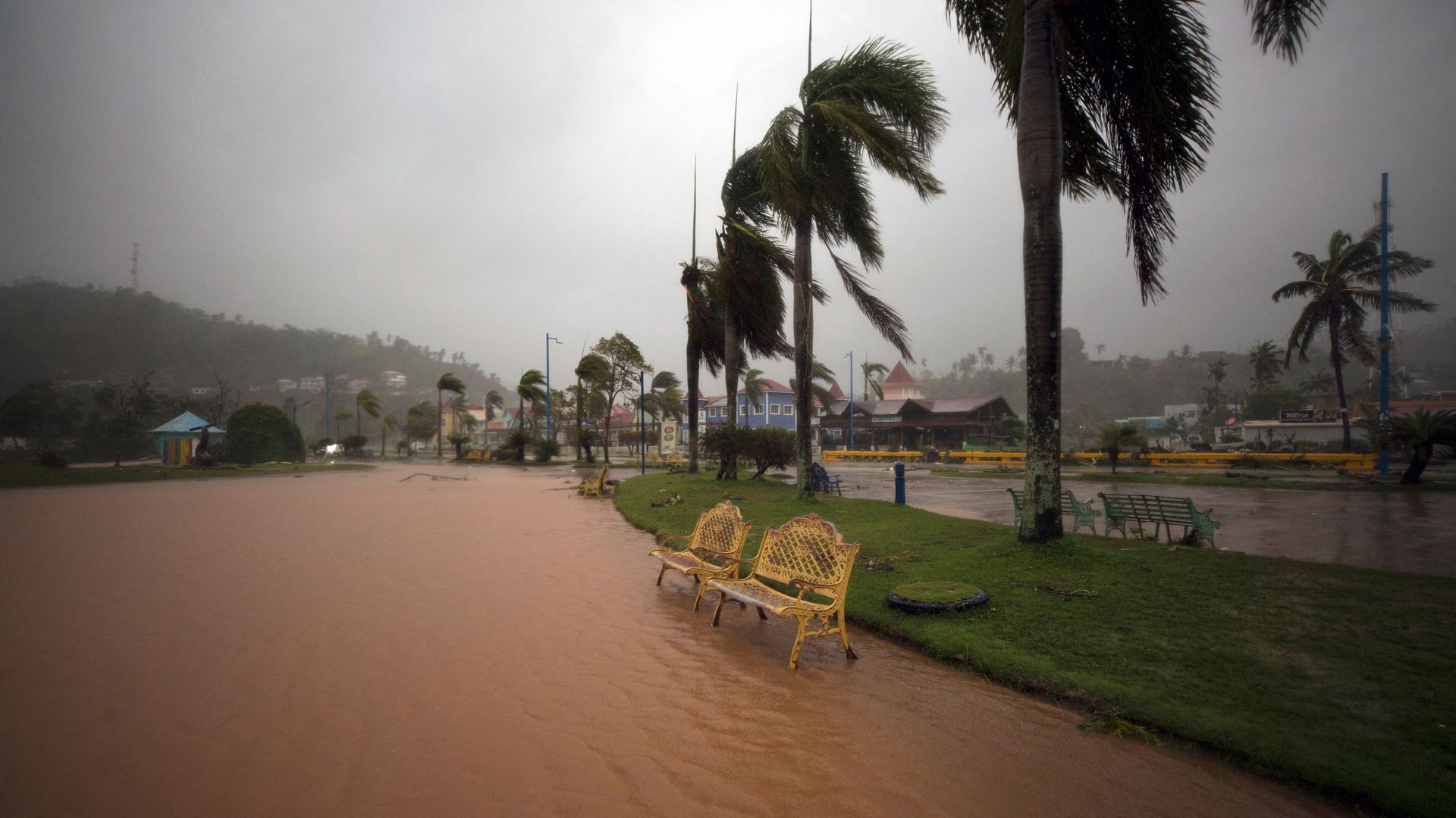 Photo of a street flooded with water as strong winds blow palm tree leaves backwards
