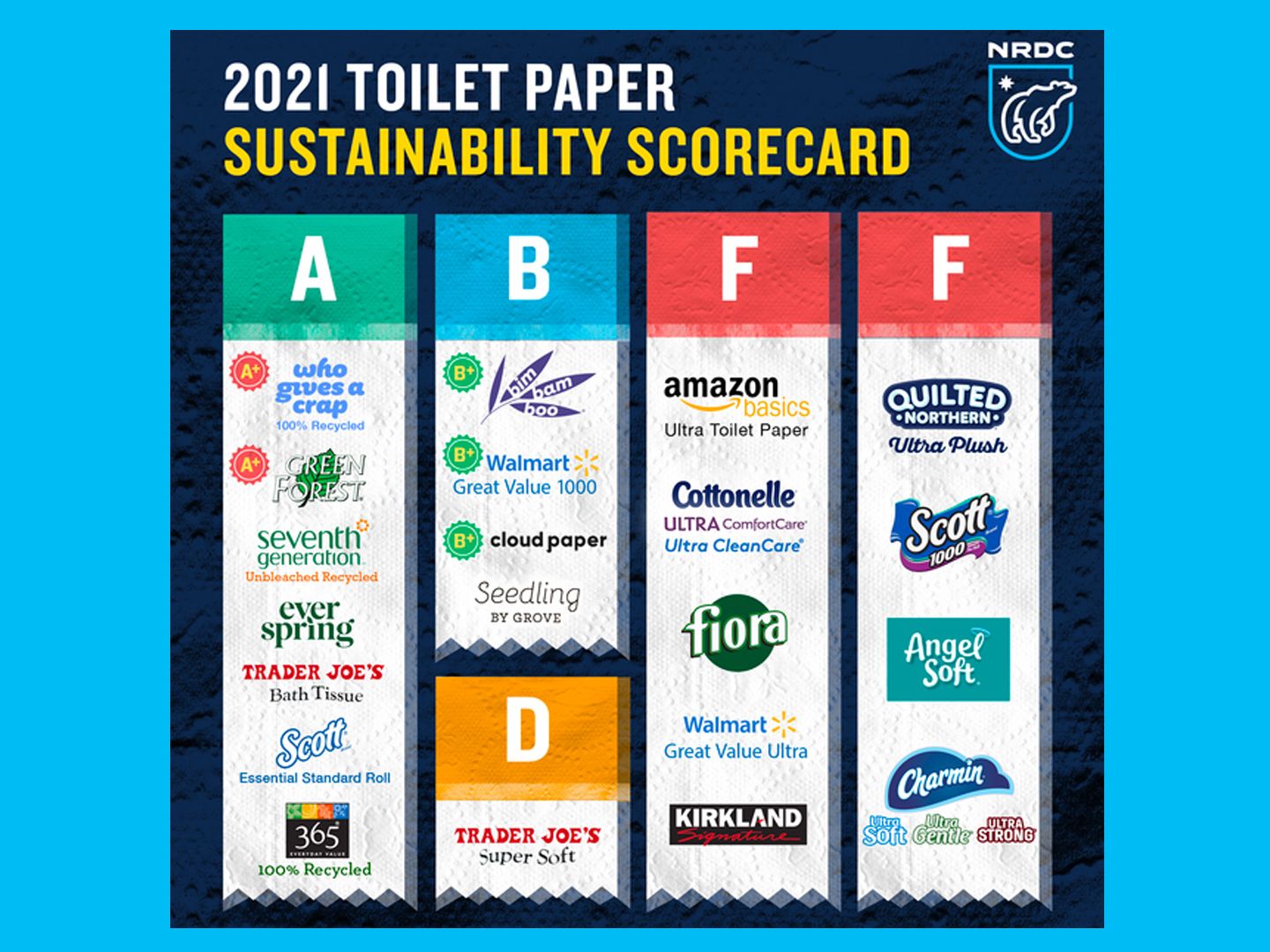 Toilet paper is getting less sustainable, researchers warn