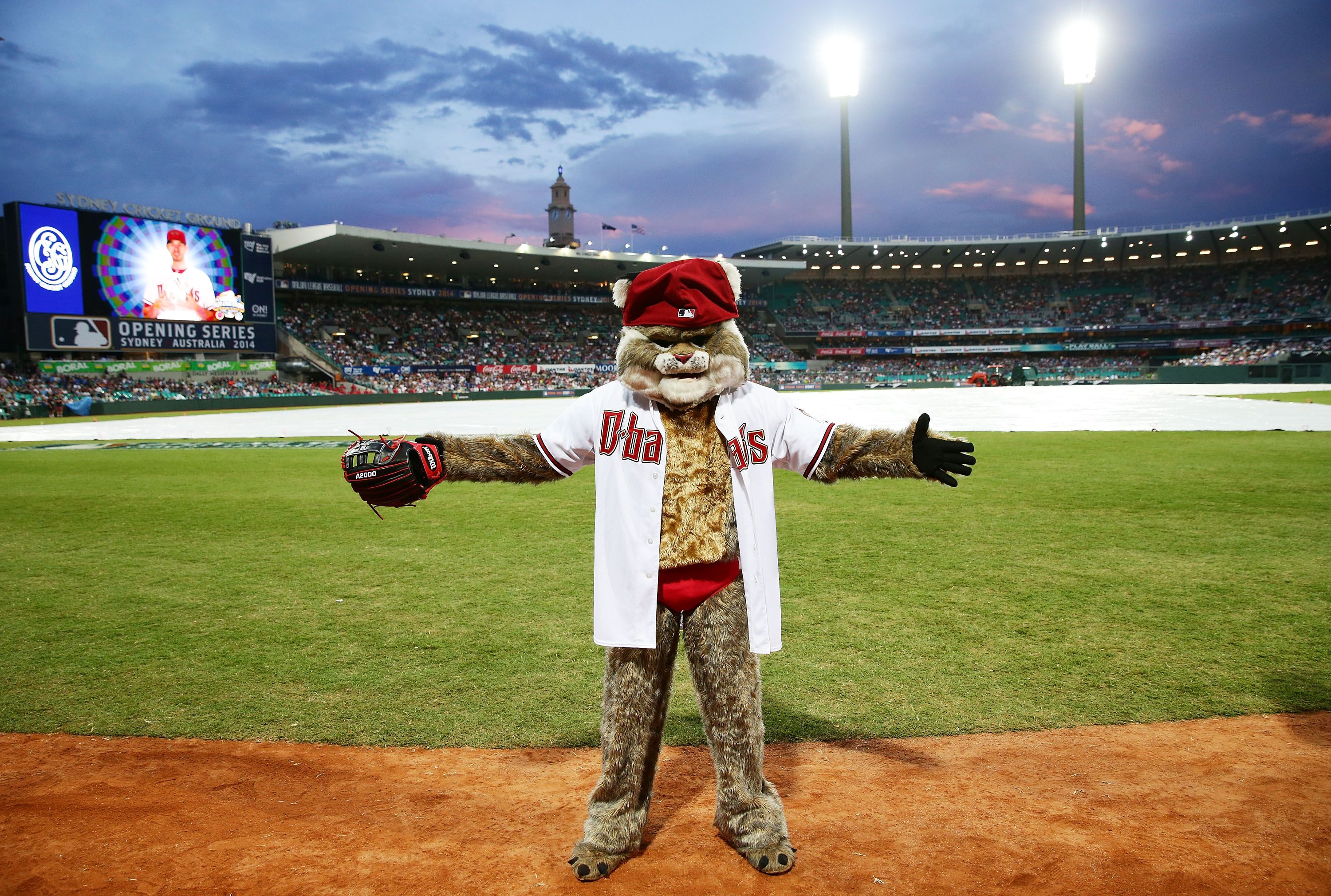 Furry baseball mascot in a white uniform and red cap stretches arms on infield dirt of a packed stadium at dusk, with bright lights overhead, scoreboard, and cheering crowd in the background.