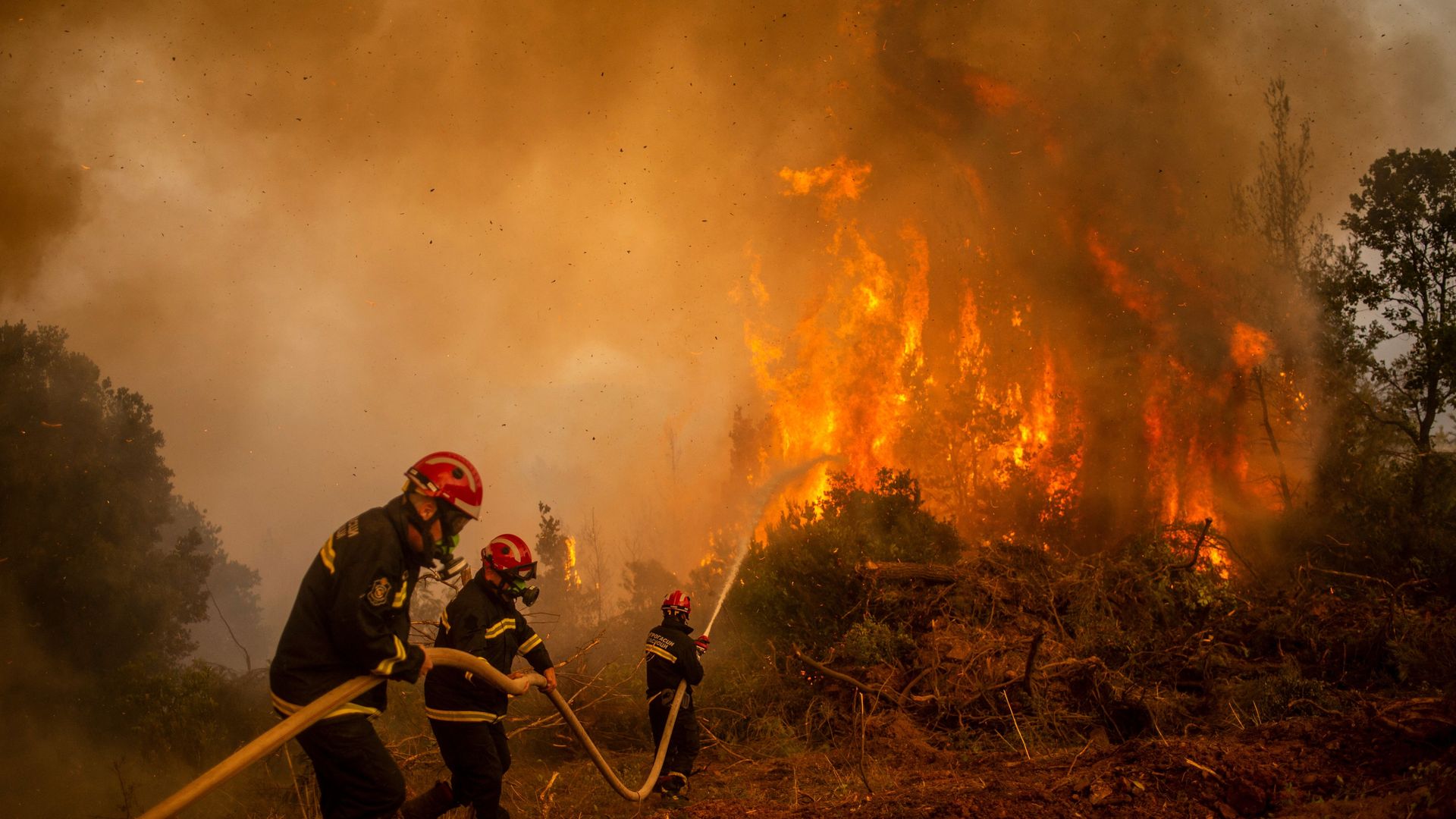 firefighters use a water hose to extinguish the burning blaze of a forest fire 