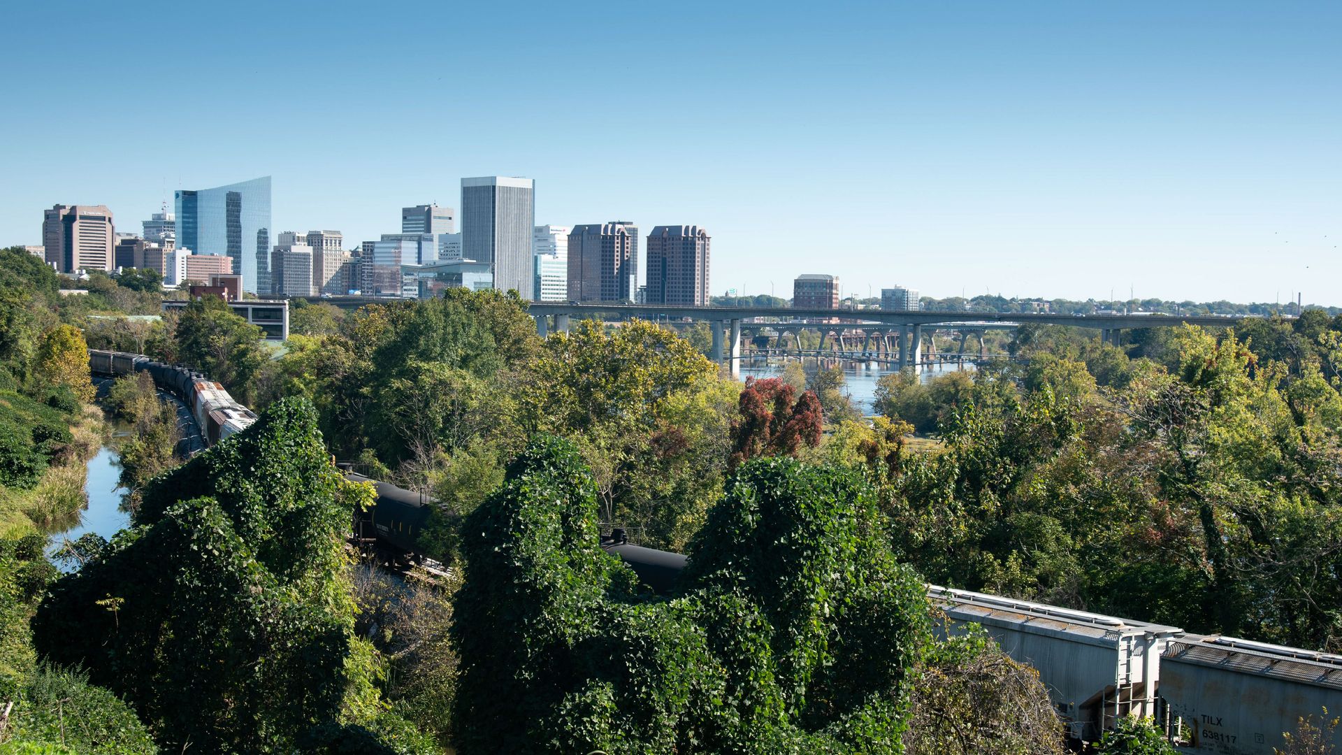 the skyline of richmond in the far back surrounded by trees
