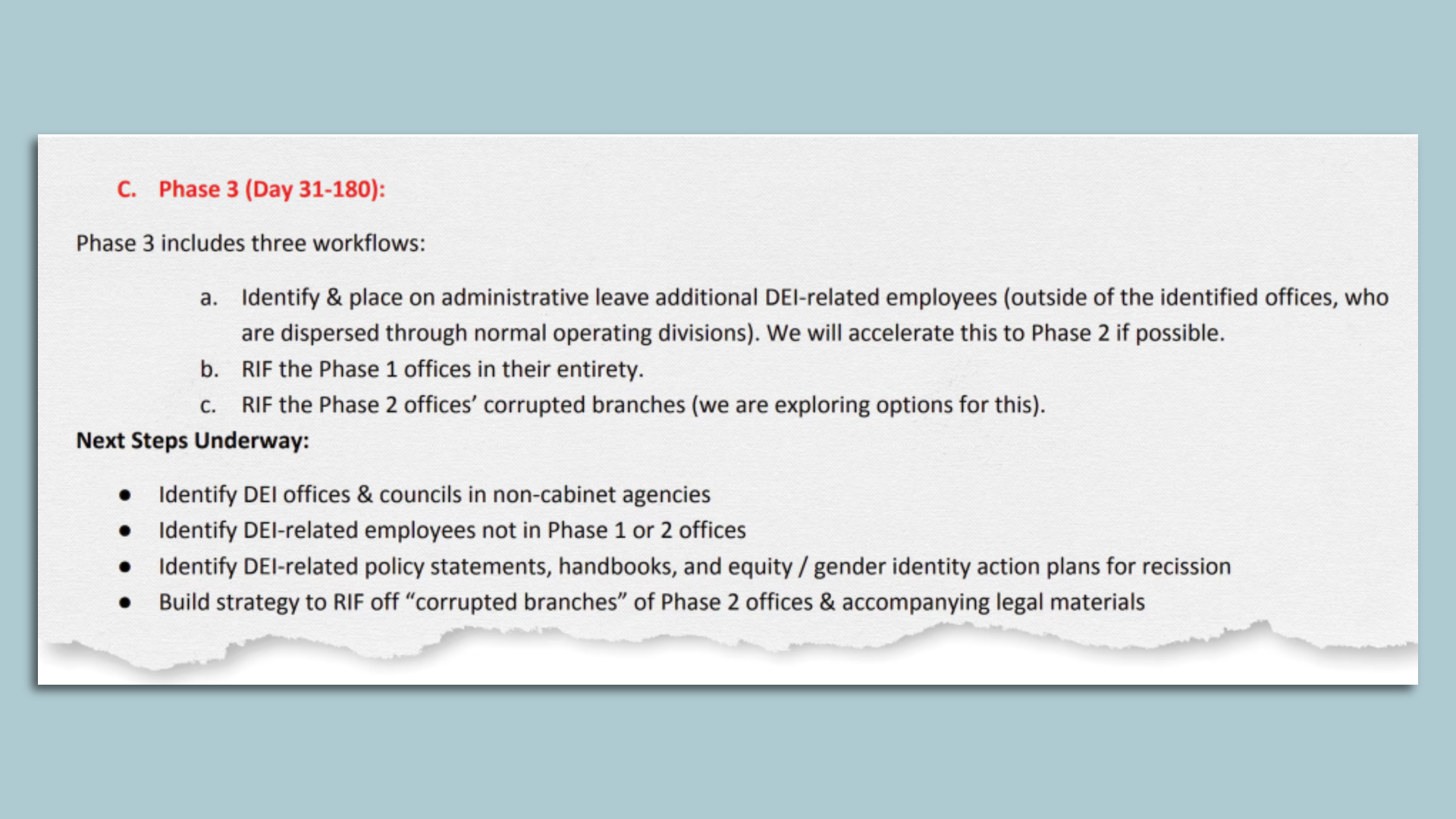 Graphic: The Washington Post, from U.S. DOGE Service strategy document