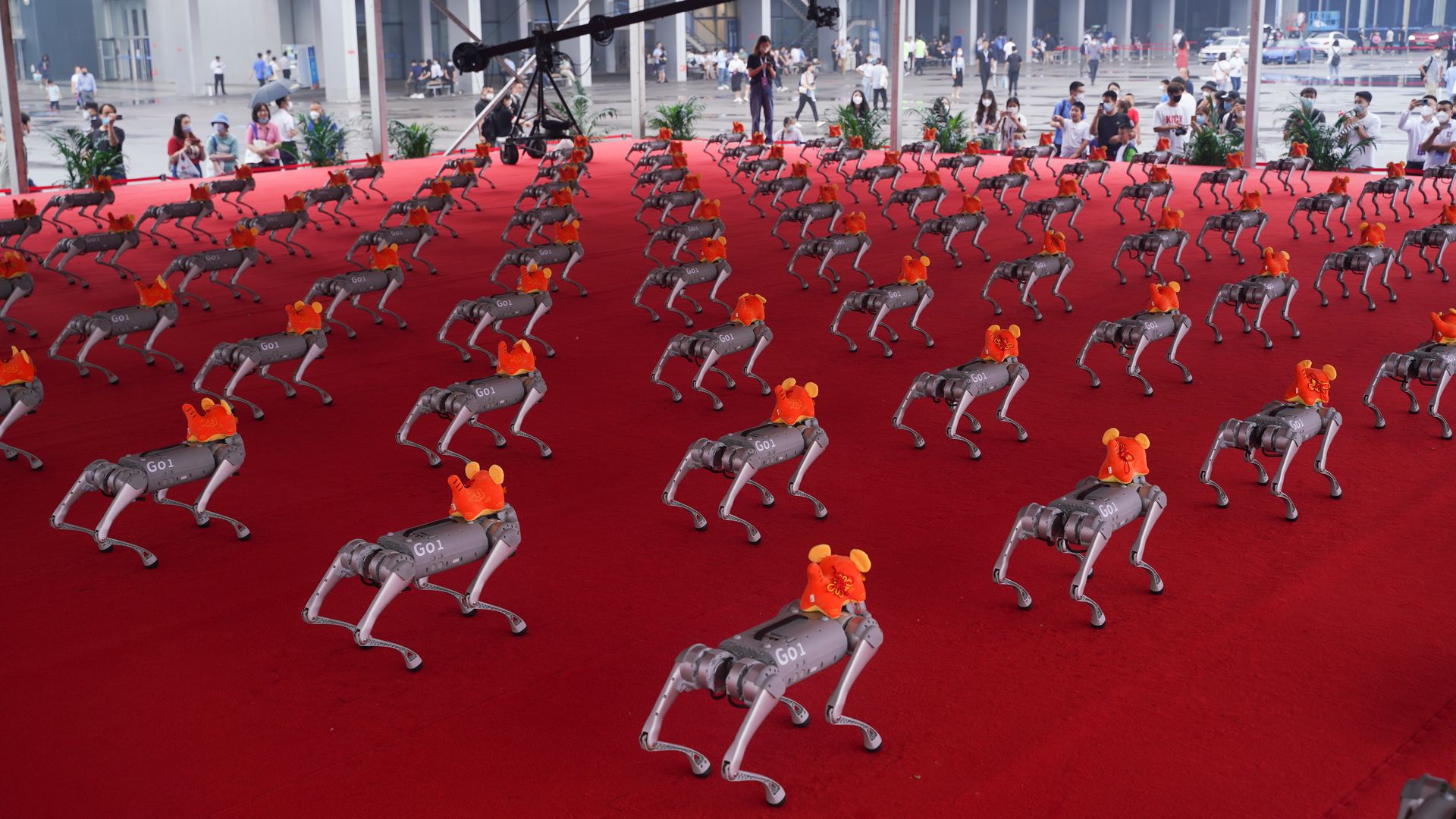 Robotic dogs stand in formation at a robotics conference in Beijing.