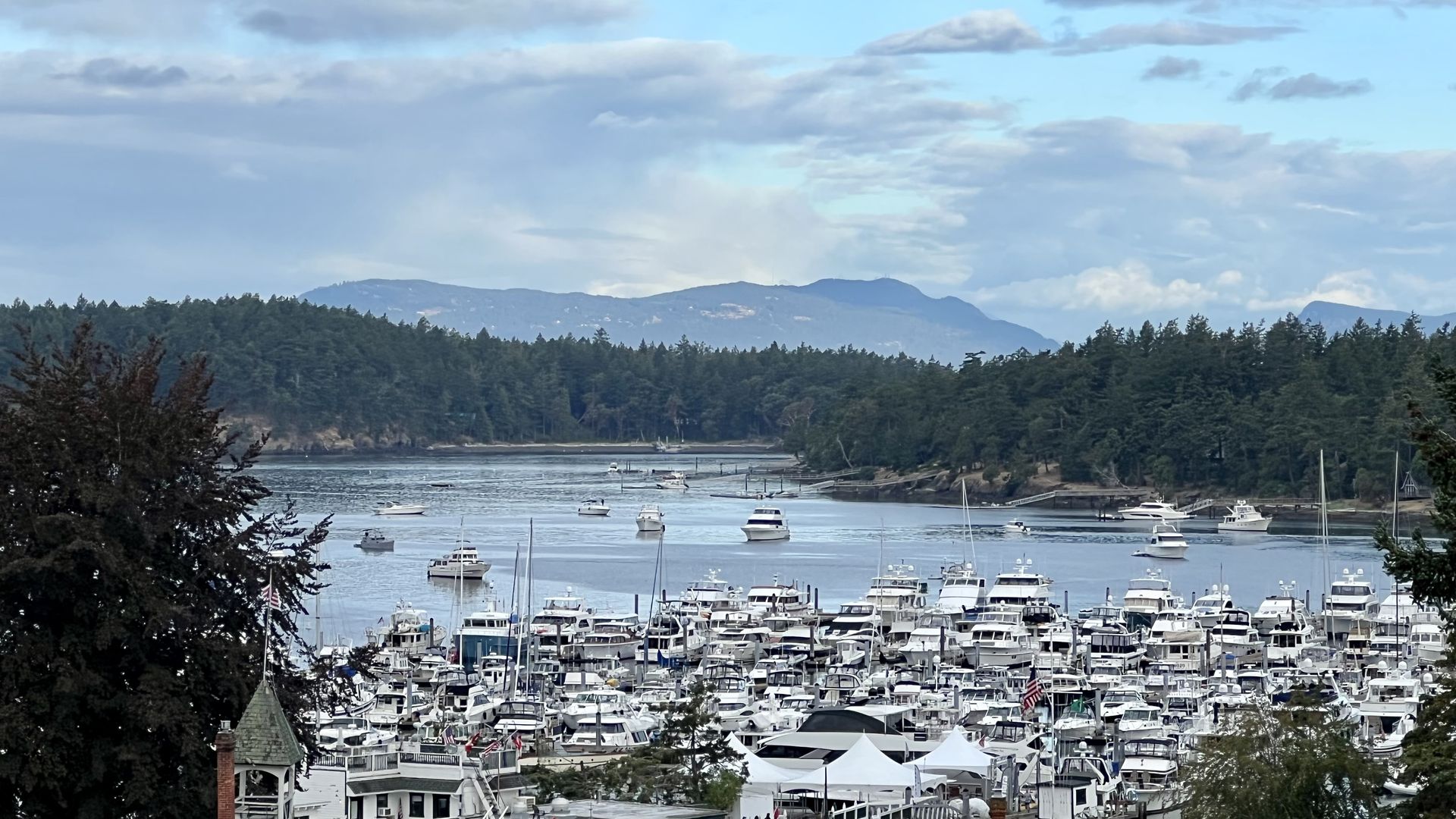 Roche Harbor is filled with boats on a summer morning.