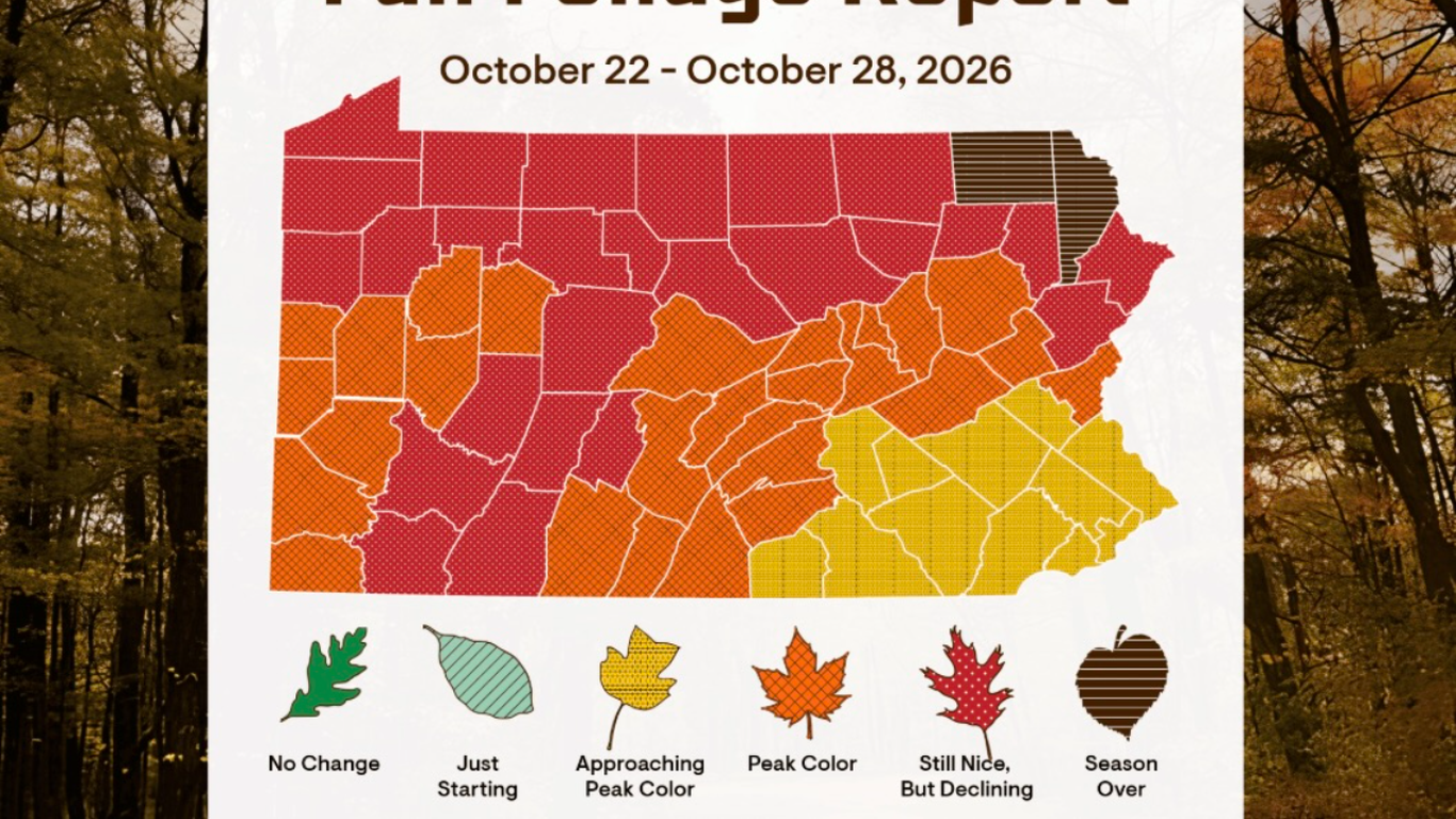 Peak fall color arrives in Pittsburgh