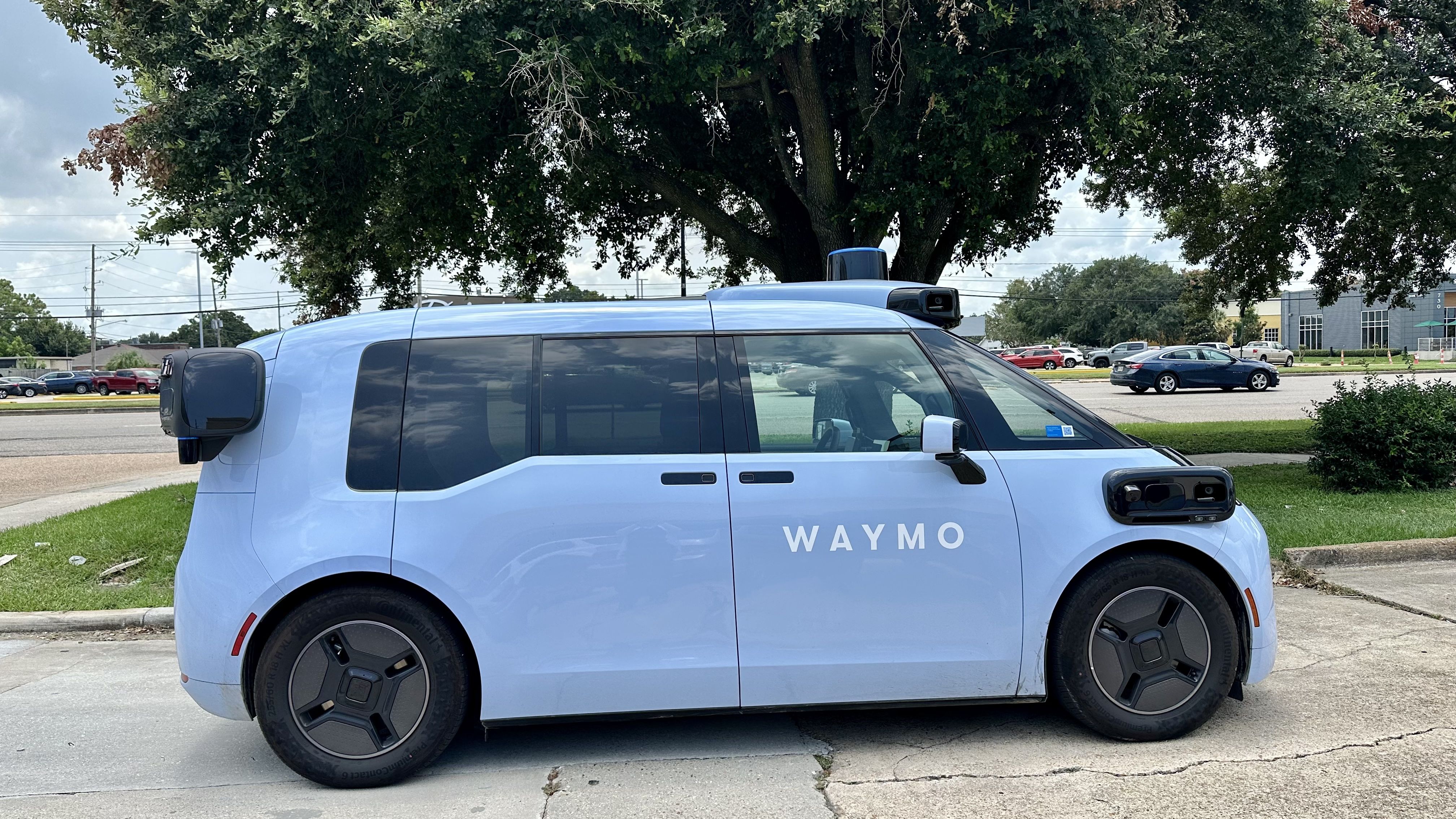 Light blue Waymo self-driving van with roof lidar, parked in a lot; dark tinted windows, grassy curb, a large tree behind, and other cars and buildings in the background.