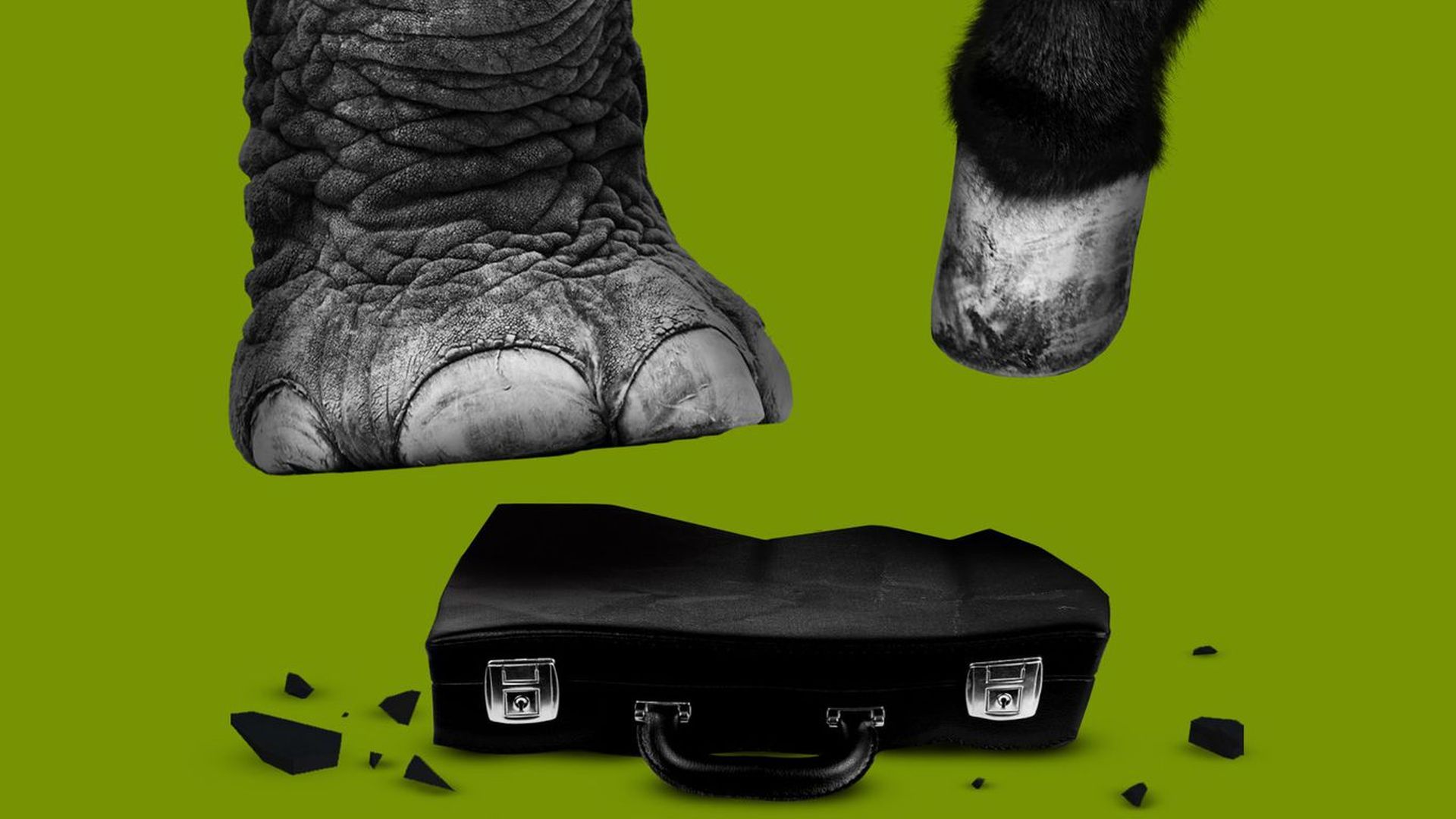 An elephant stomping on a briefcase