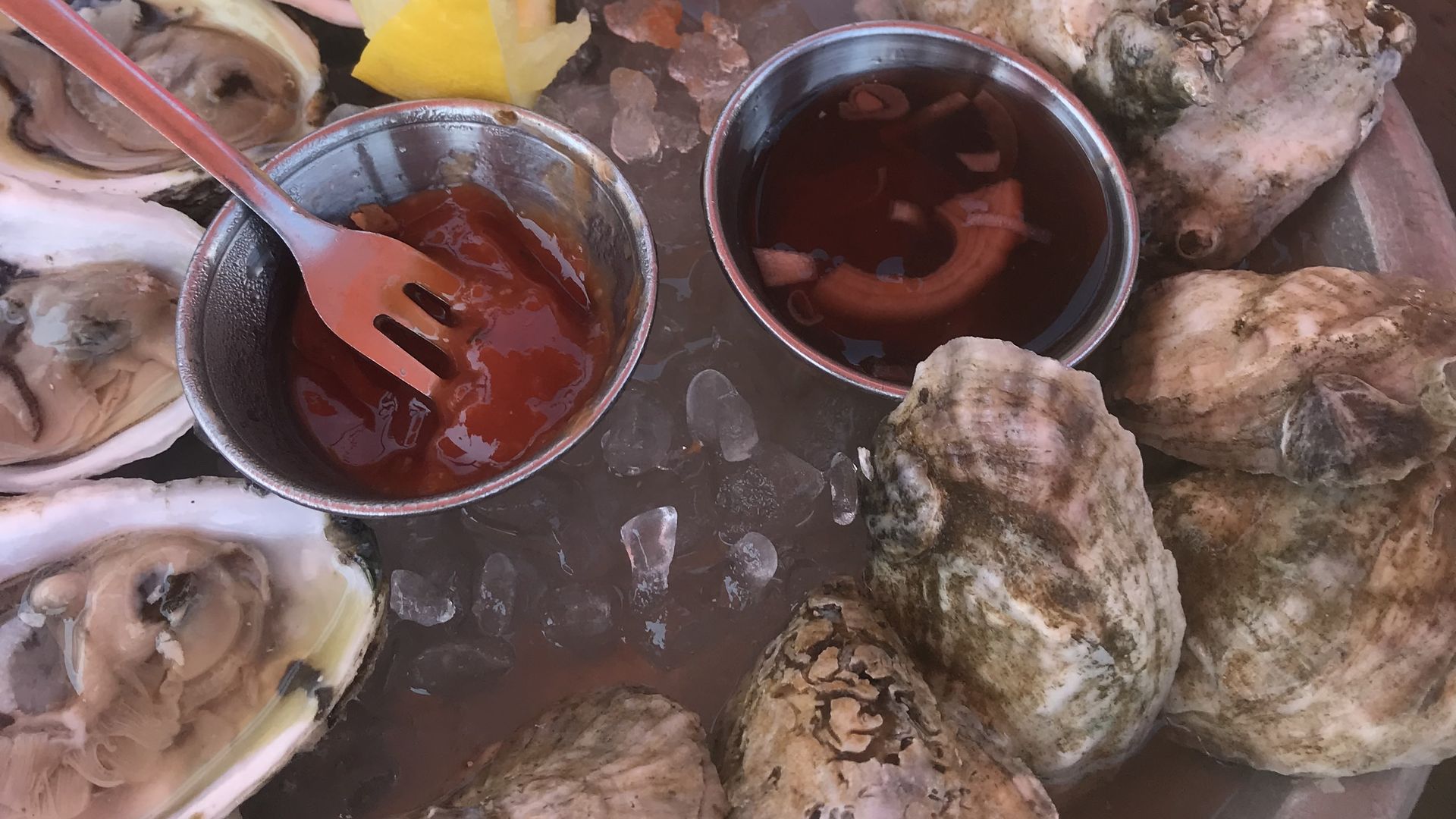 a plate of raw oysters 