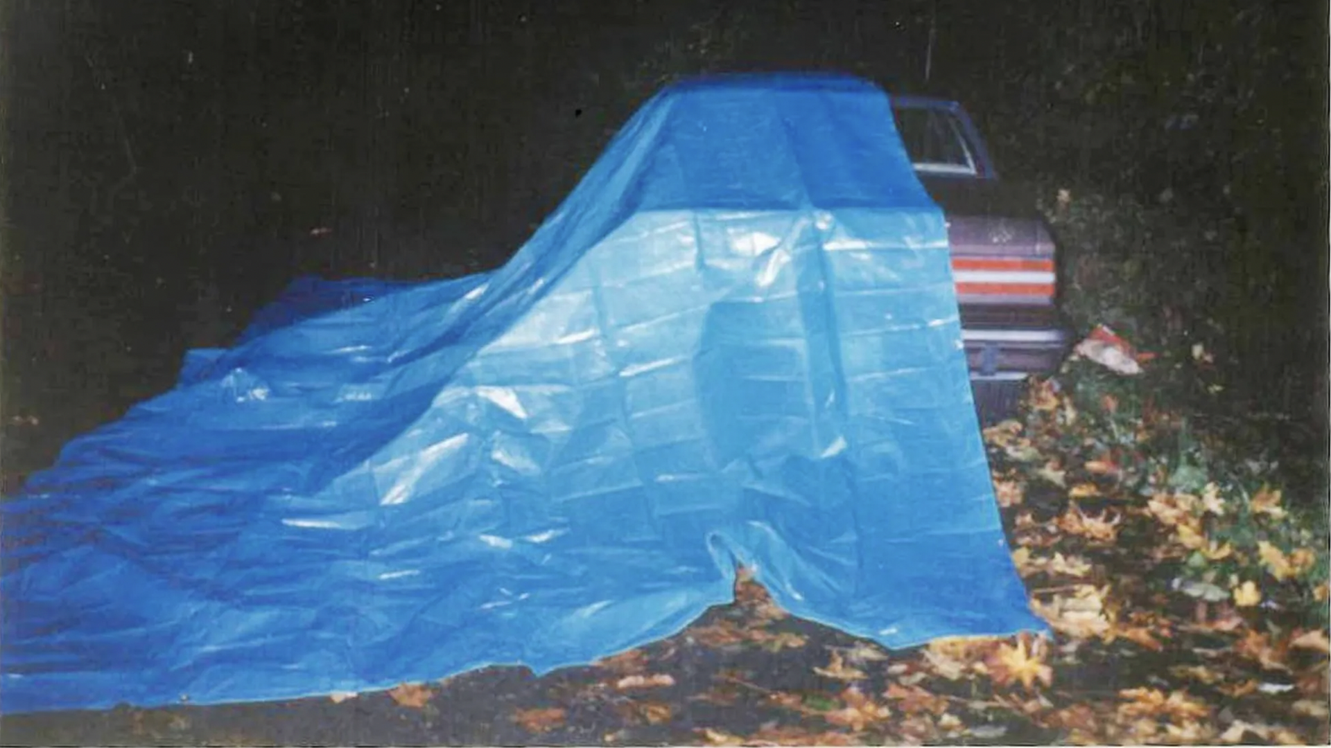 A photo of a blue tarp draped over the side of a car.