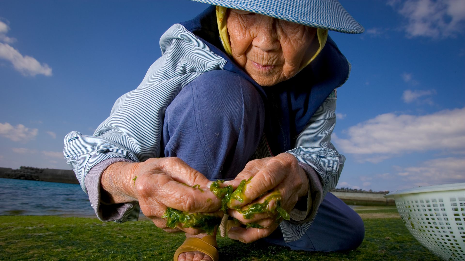 Elderly lady with seaweed
