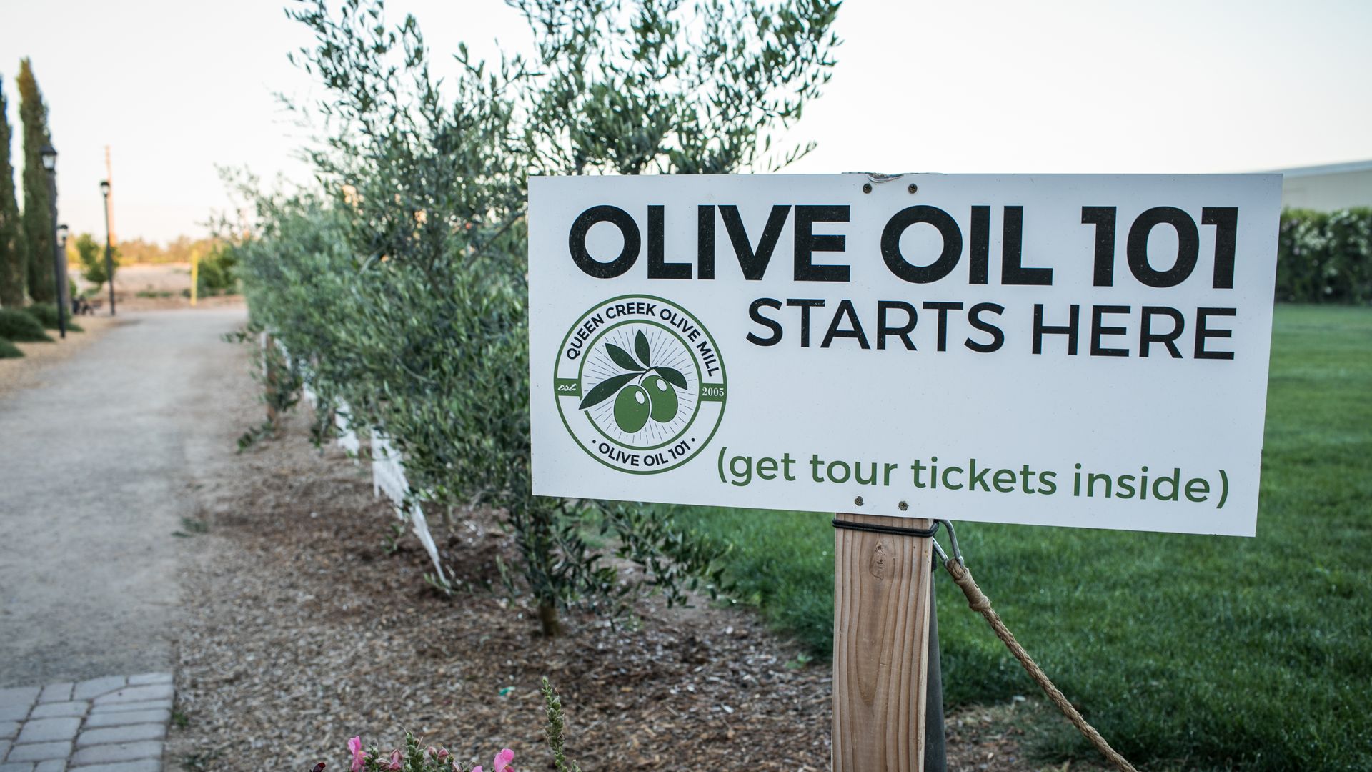 A sign that says, "OLIVE OIL 101 STARTS HERE."